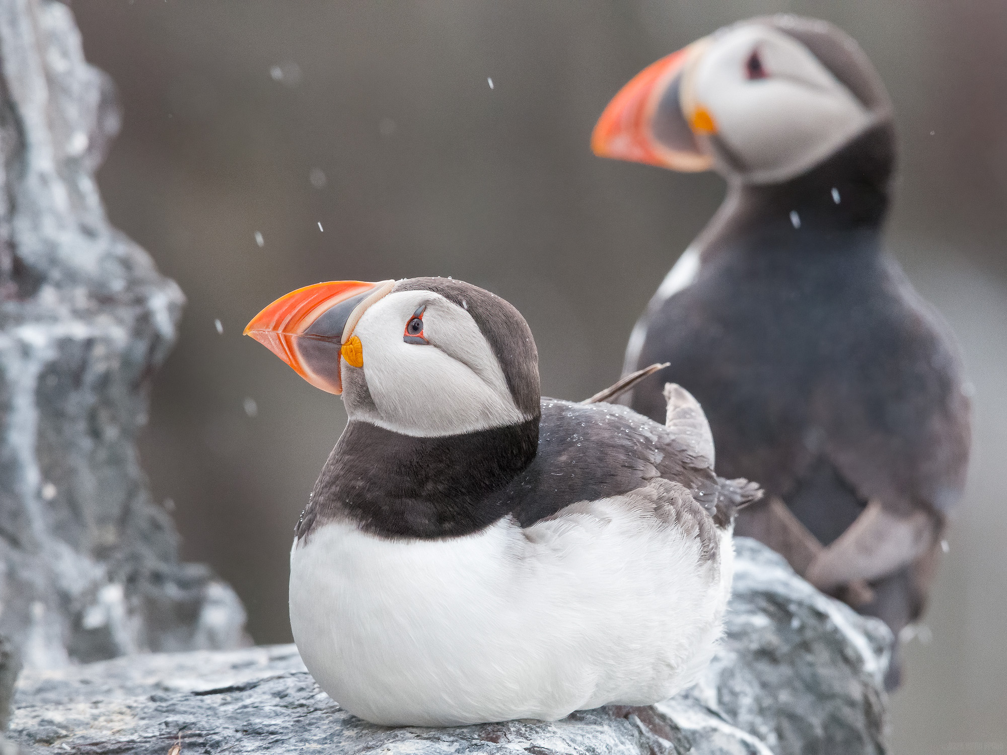 Left Out In The Rain