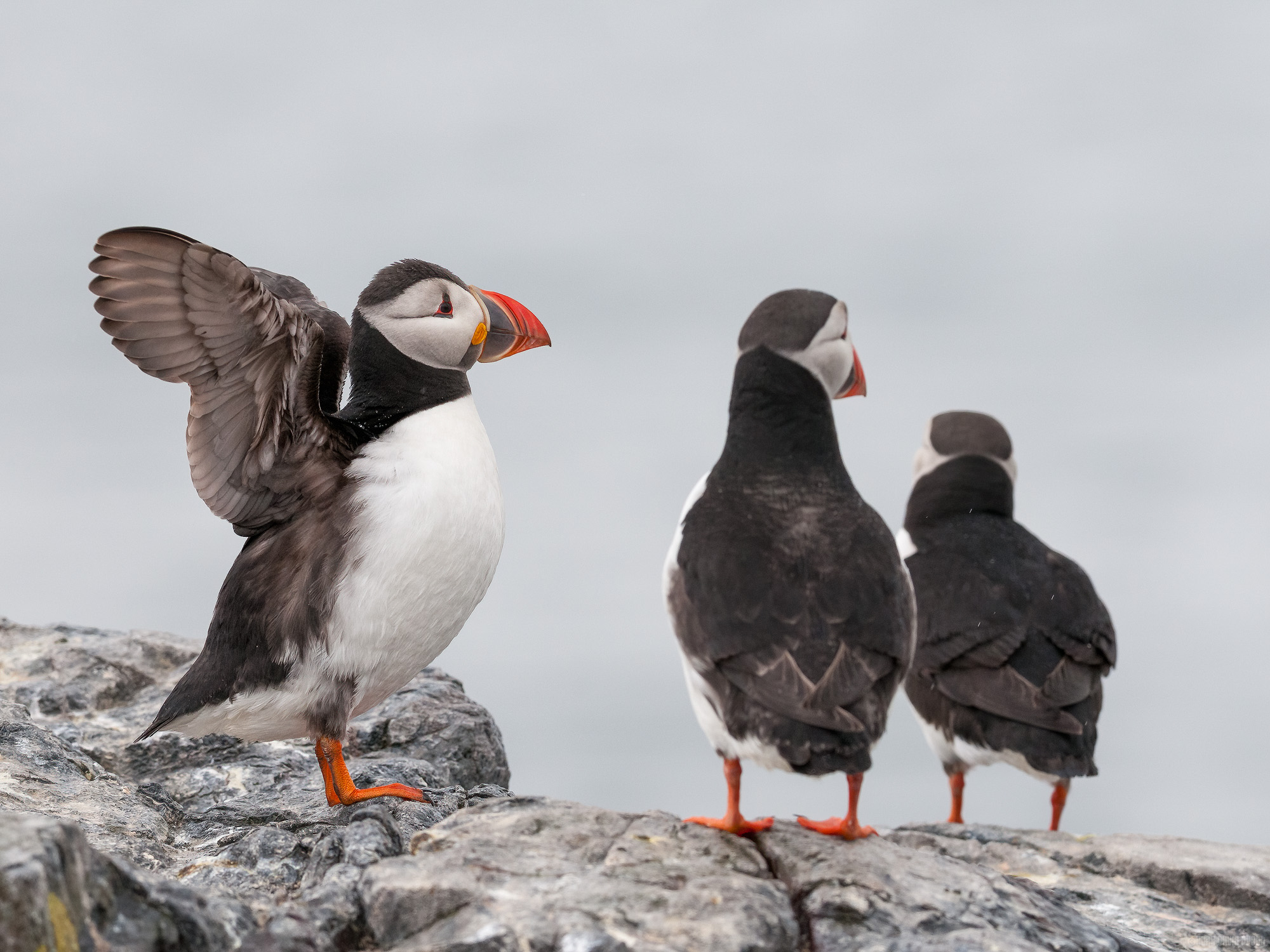 Shaking The Rain Off