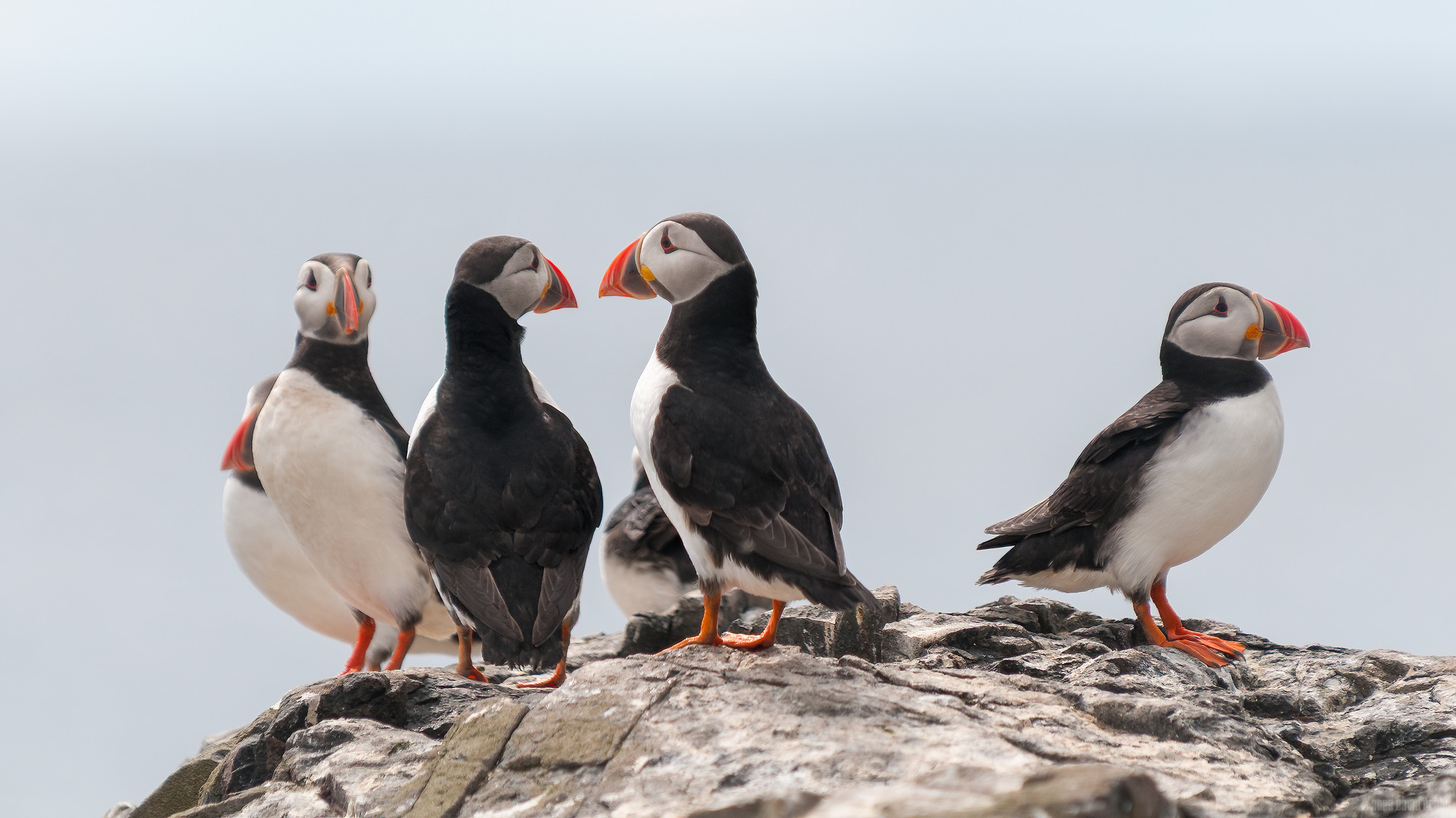 In Quiet Conversation