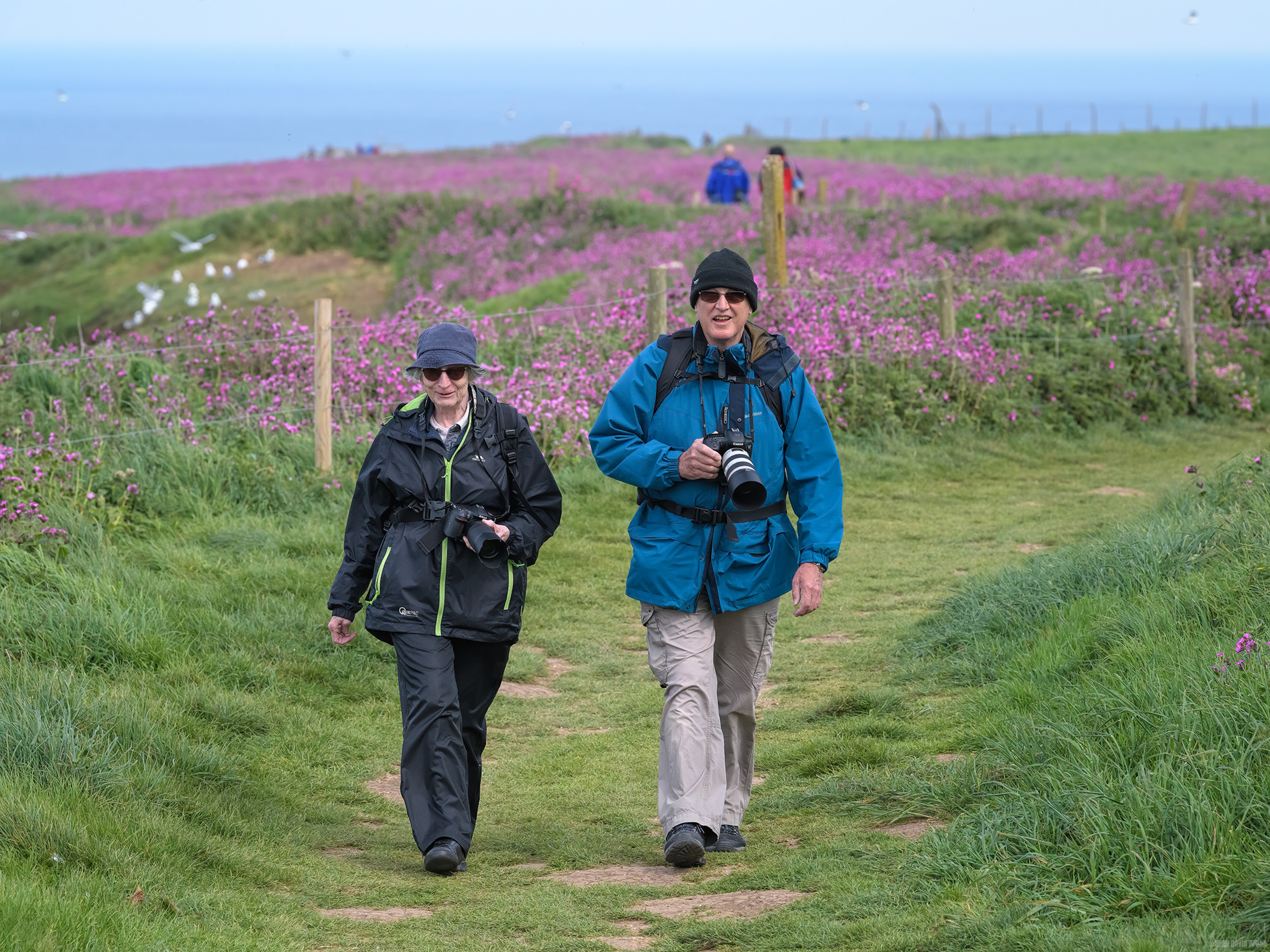 Walking The Cliff Tops Together