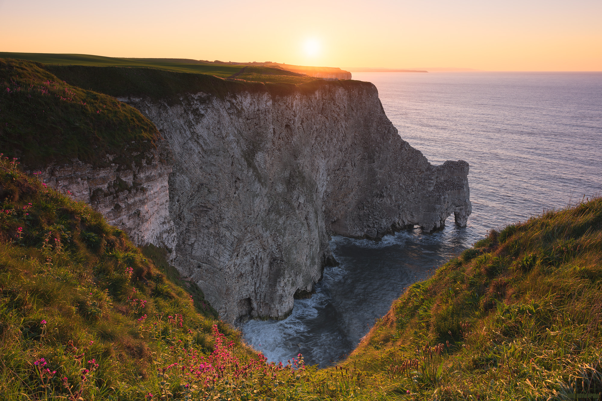 Sunset Over Staple Newk