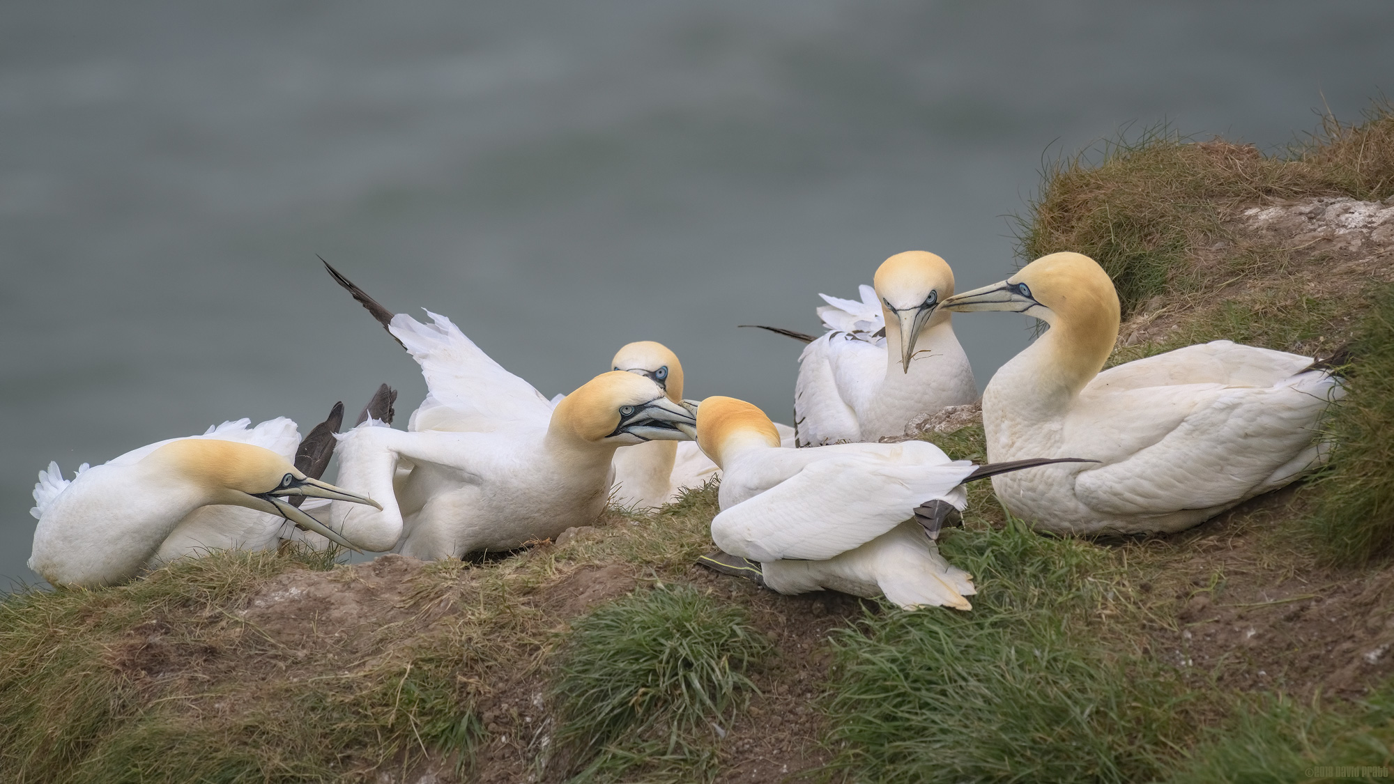 It's All Kicking Off!