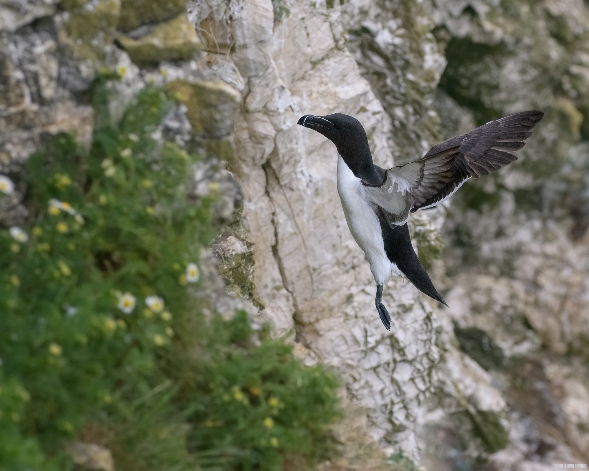 Timing Is Everything