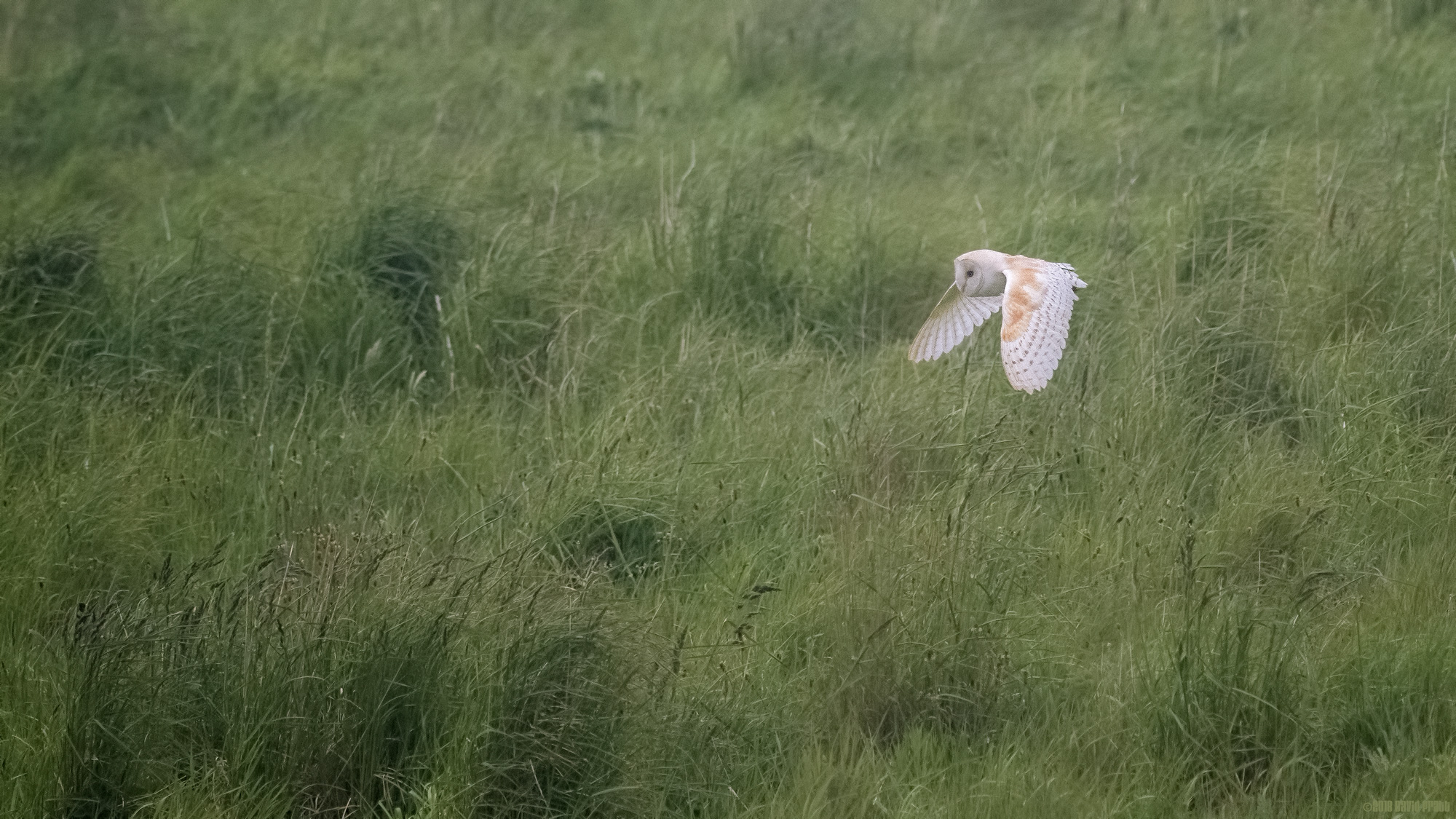 Hunting High and Low