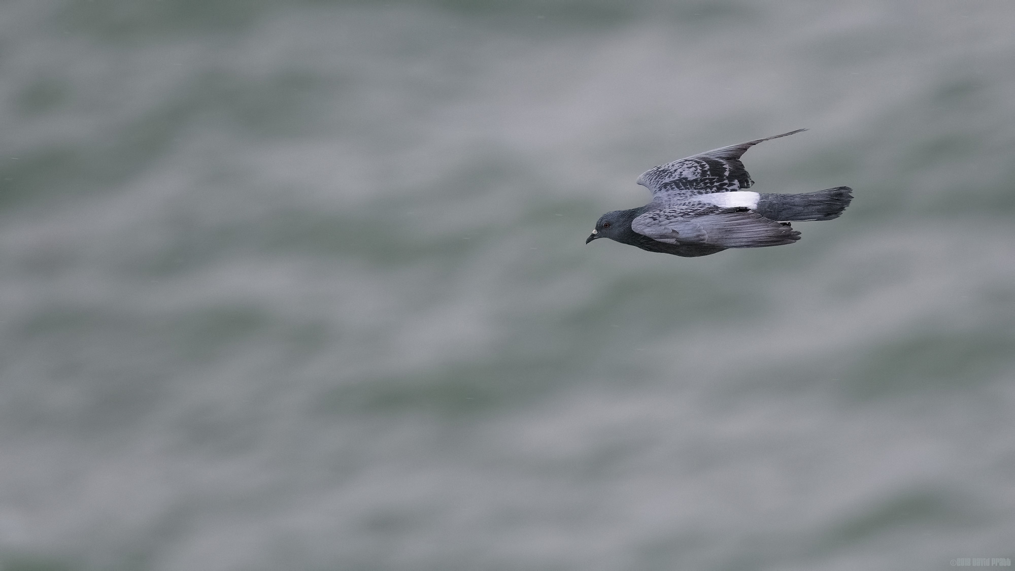 Headlong Into The Rain