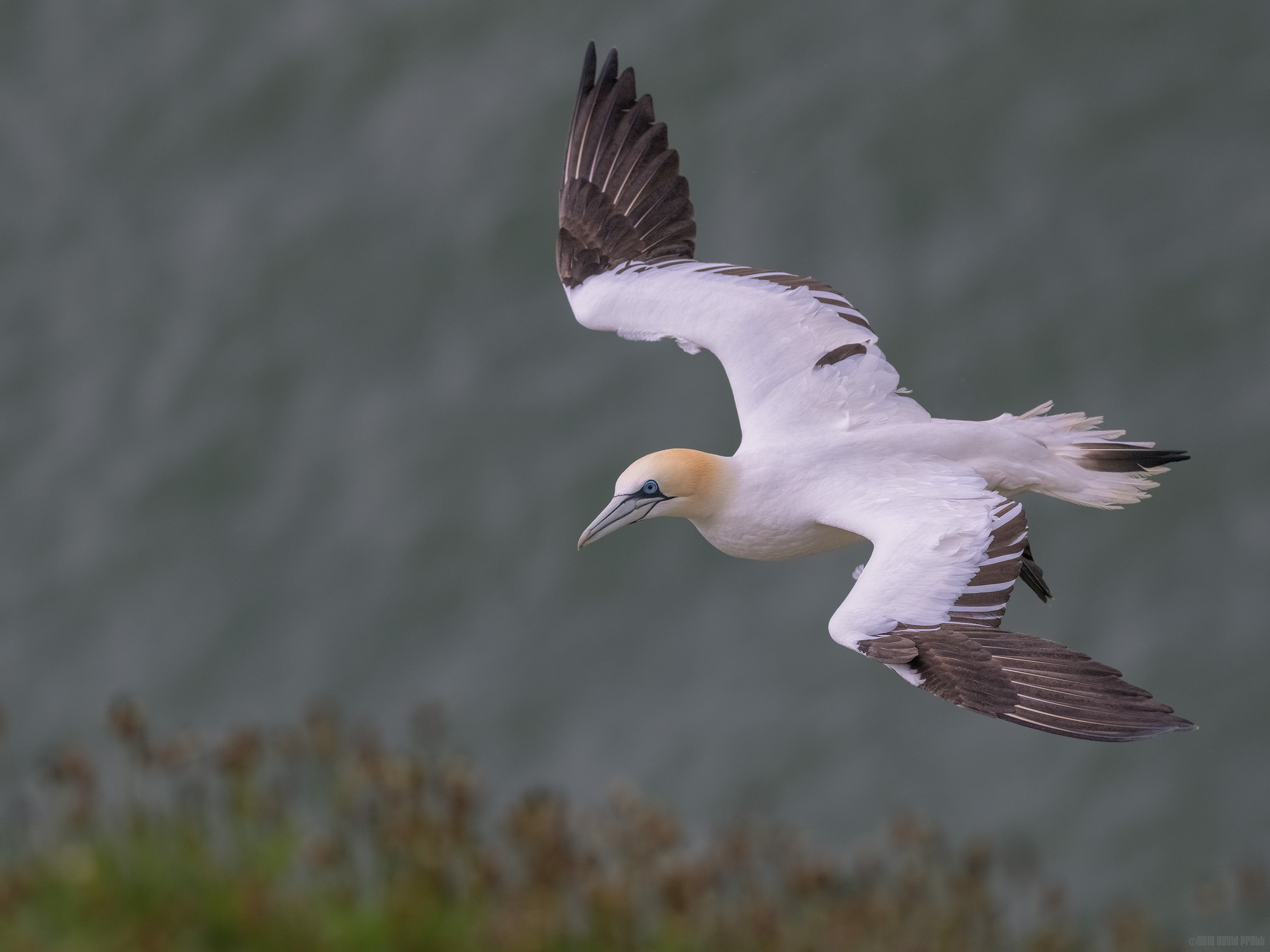 Floating At The Cliff Edge