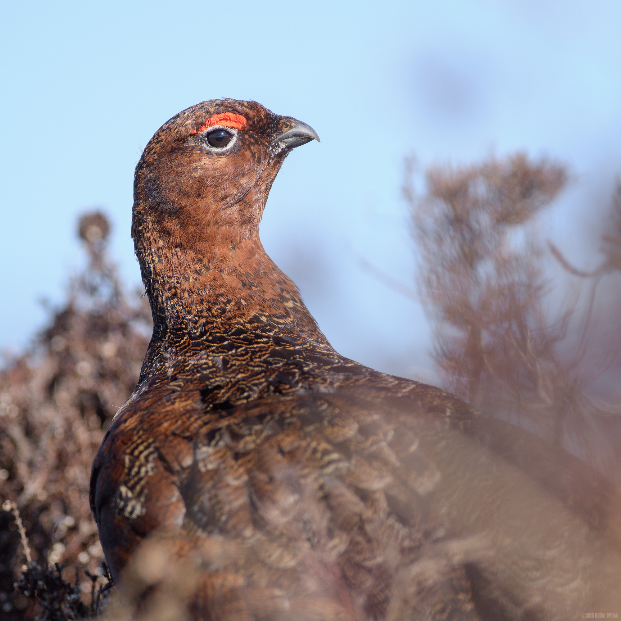 You Can't Sneak Up On Me!