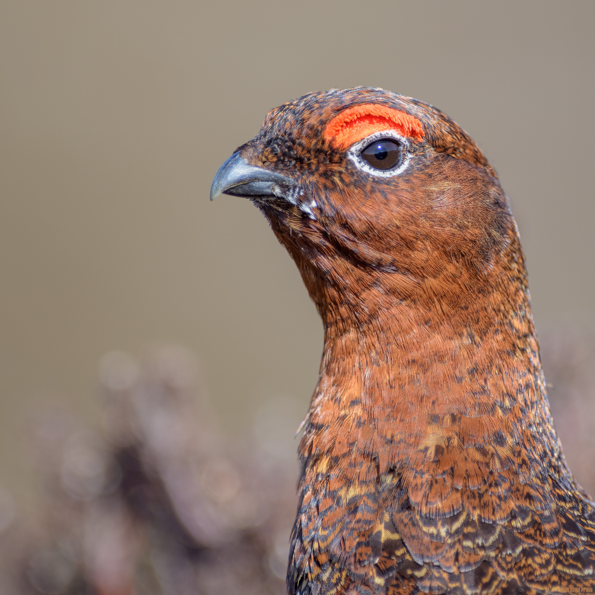 I'm Ready For My Close-Up