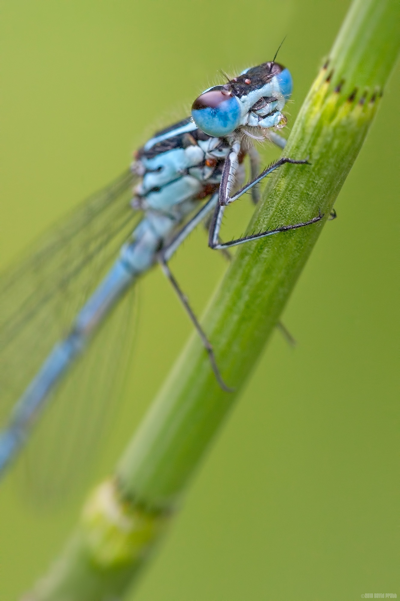 Rain On My Lower Lip