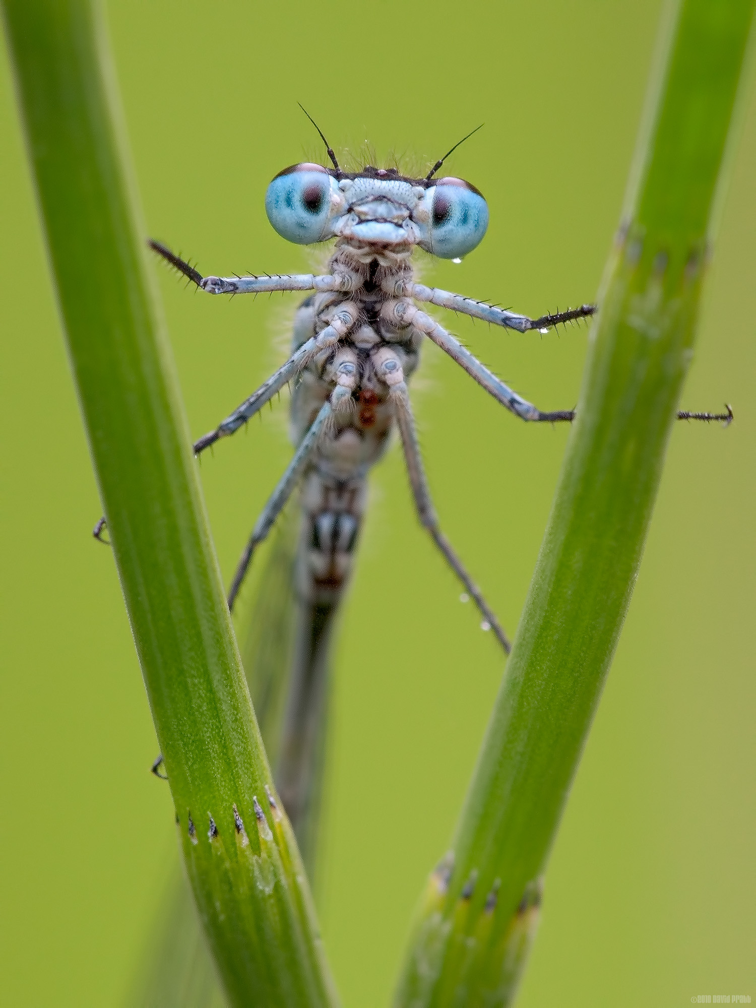 Caught In The Middle