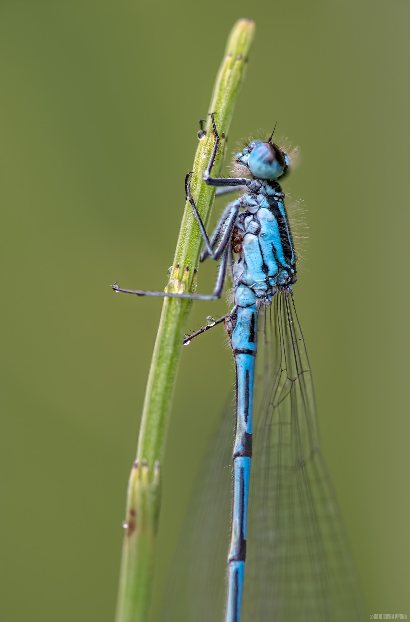 Nearly Made It To The Top