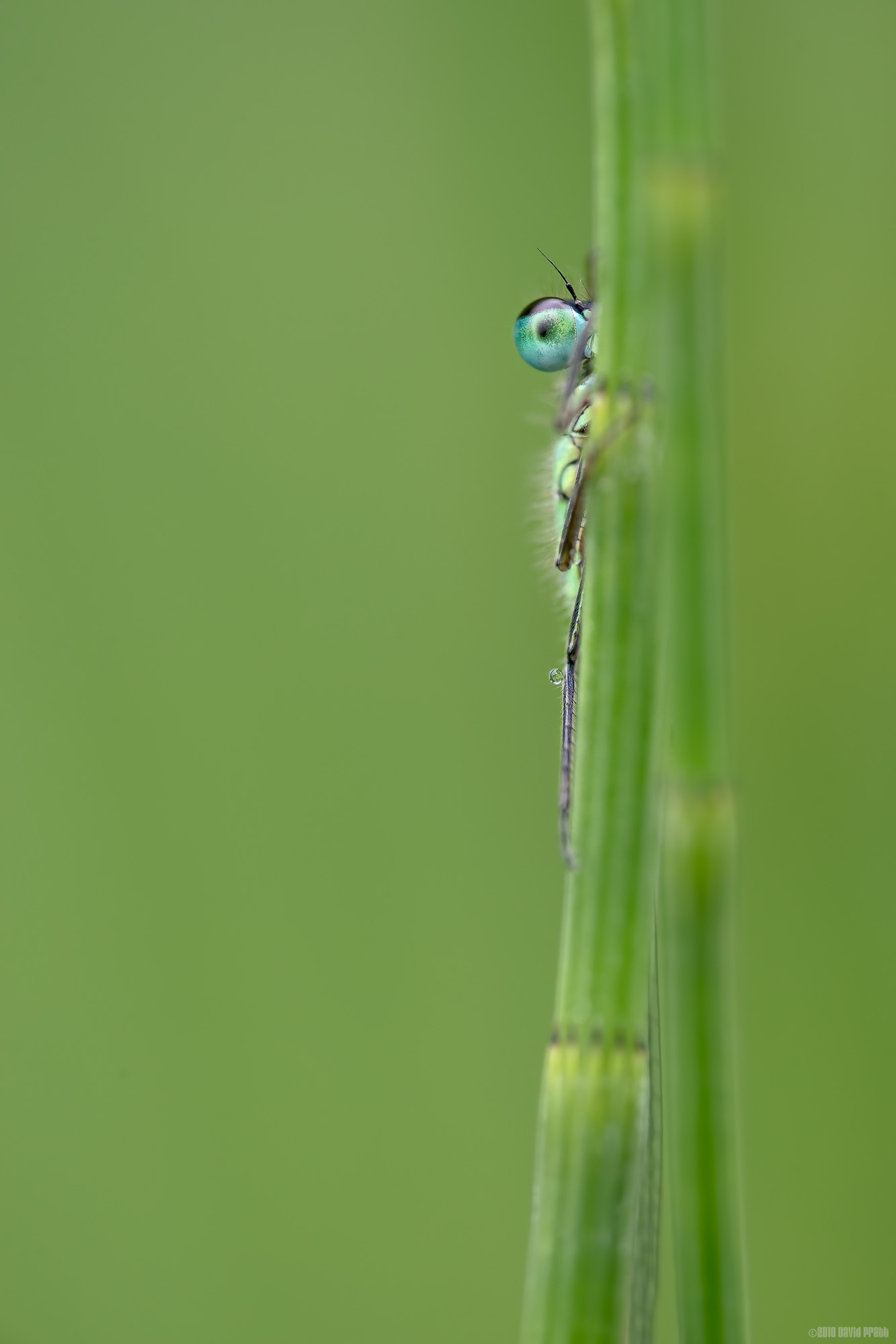 One Eye On The Prize