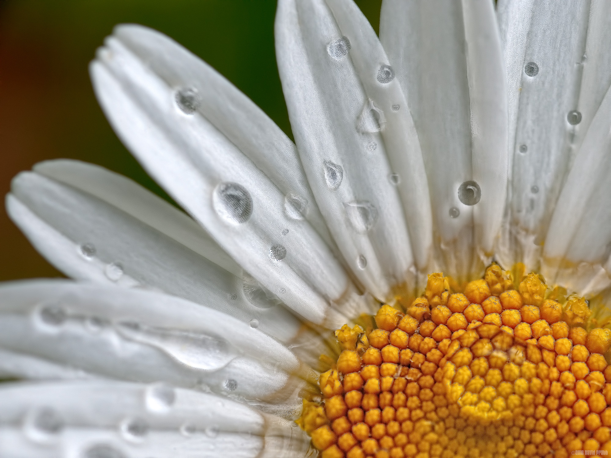 Rainy Days and Mondays Always Get Me Down