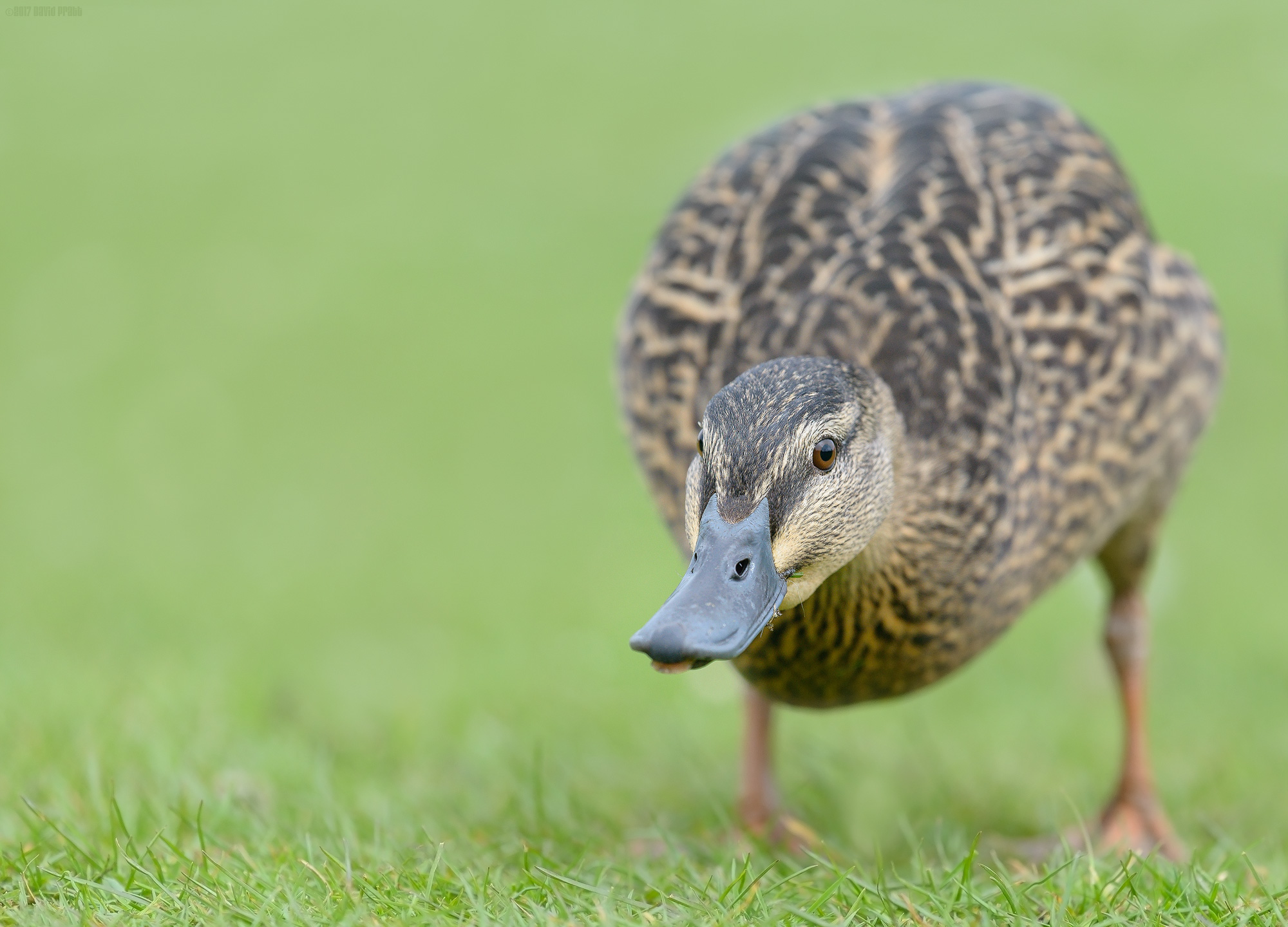 What Are You Looking At?