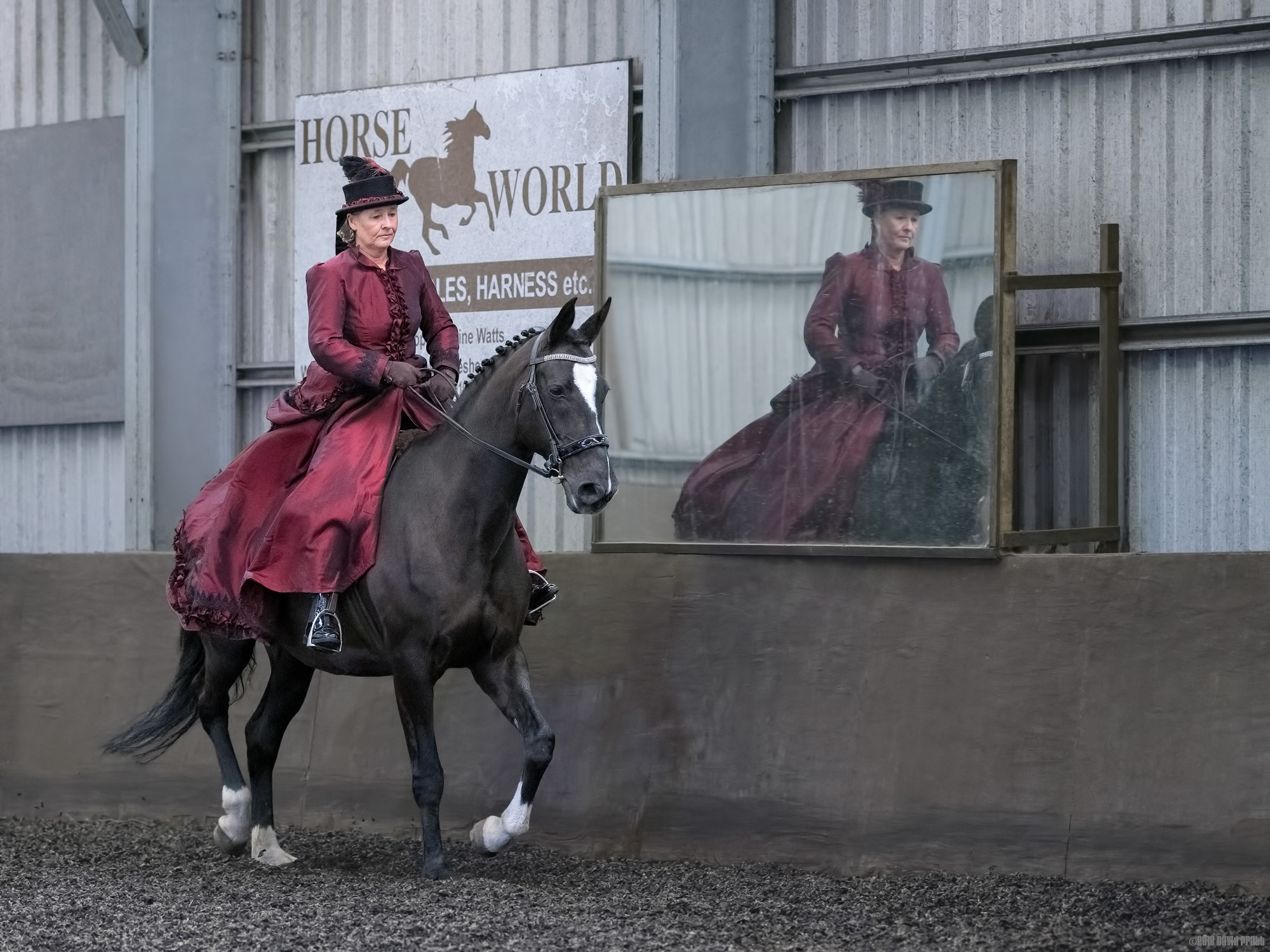 The Rider and Her Reflection