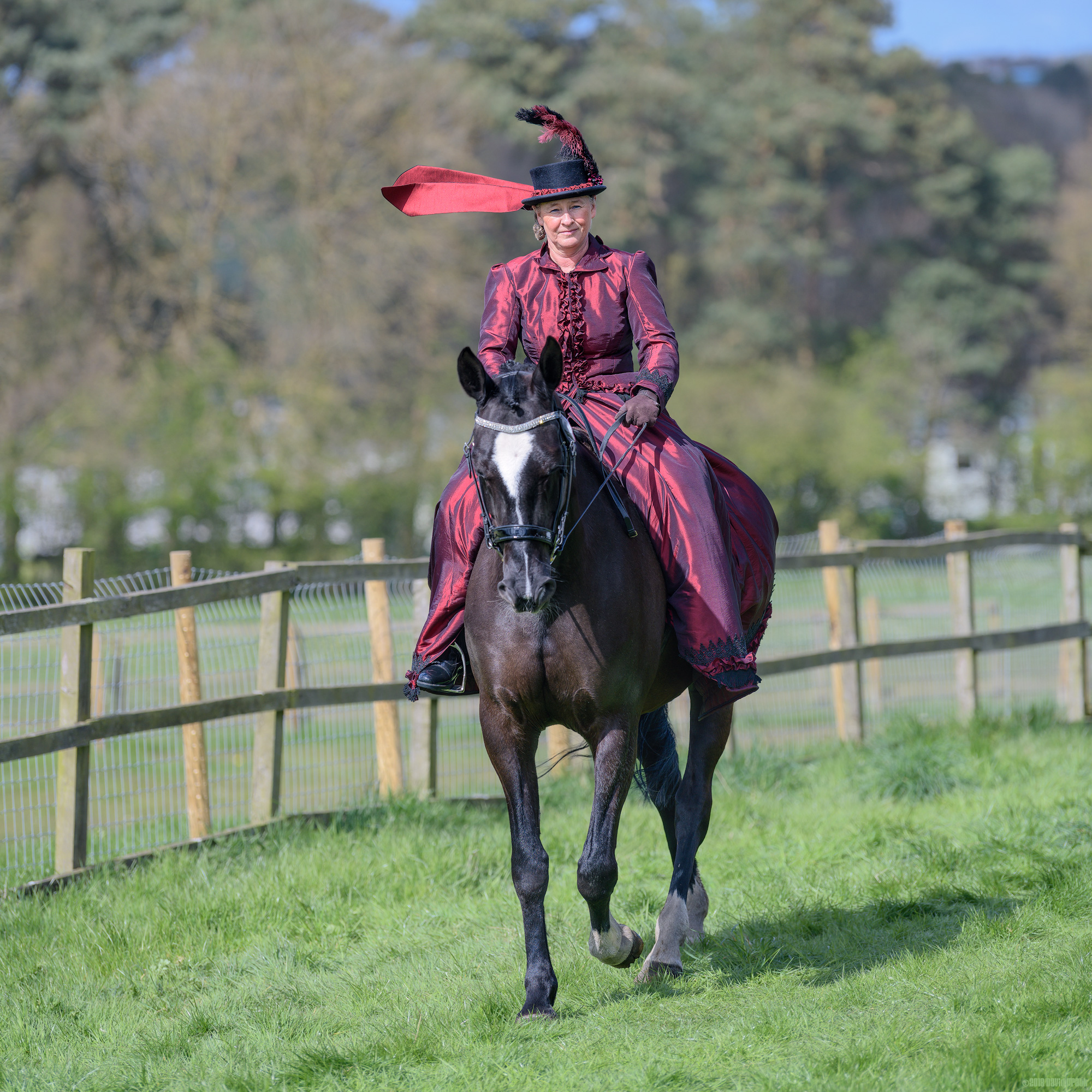 Shimmering In The Sunshine