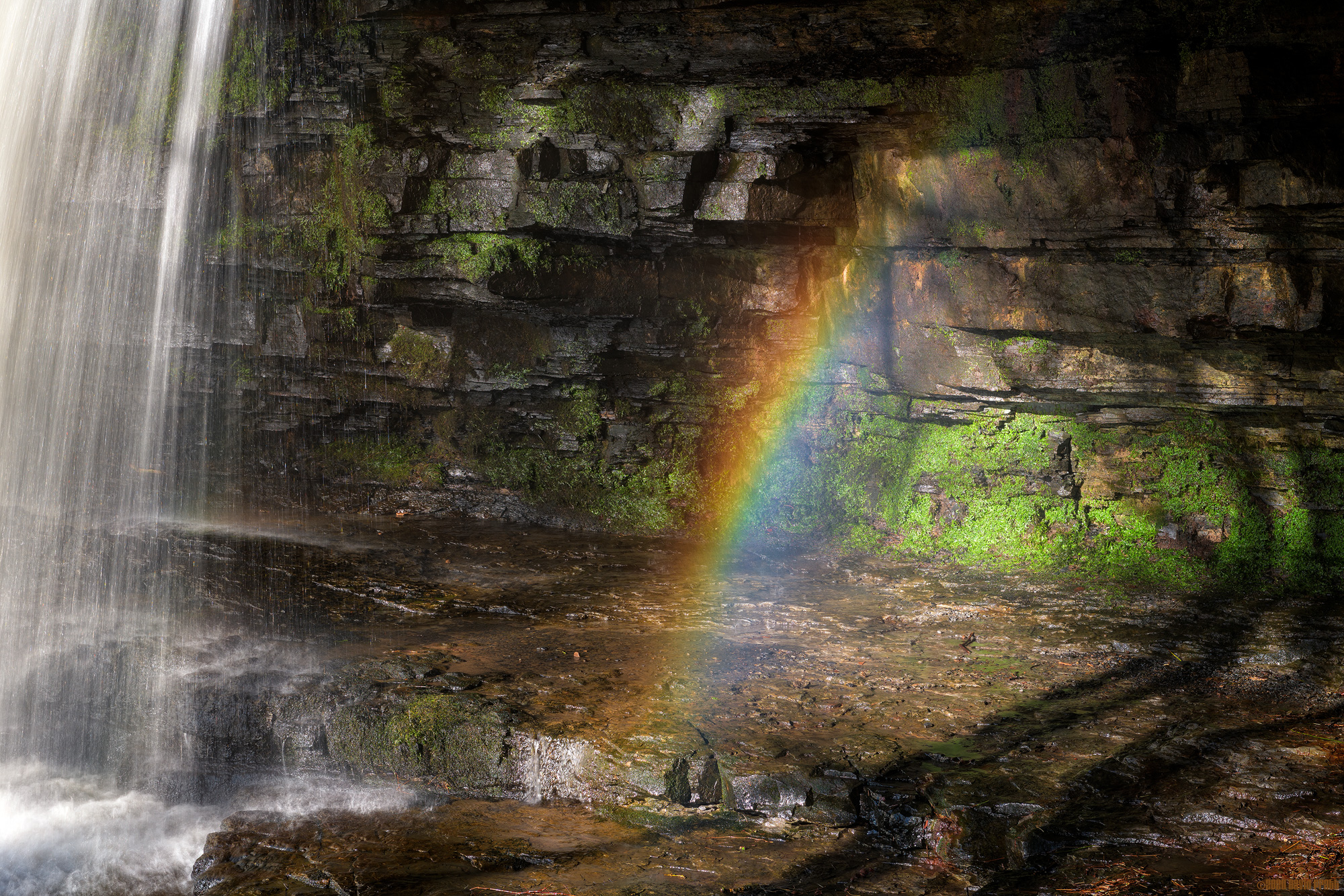 William Gibson's Rainbow