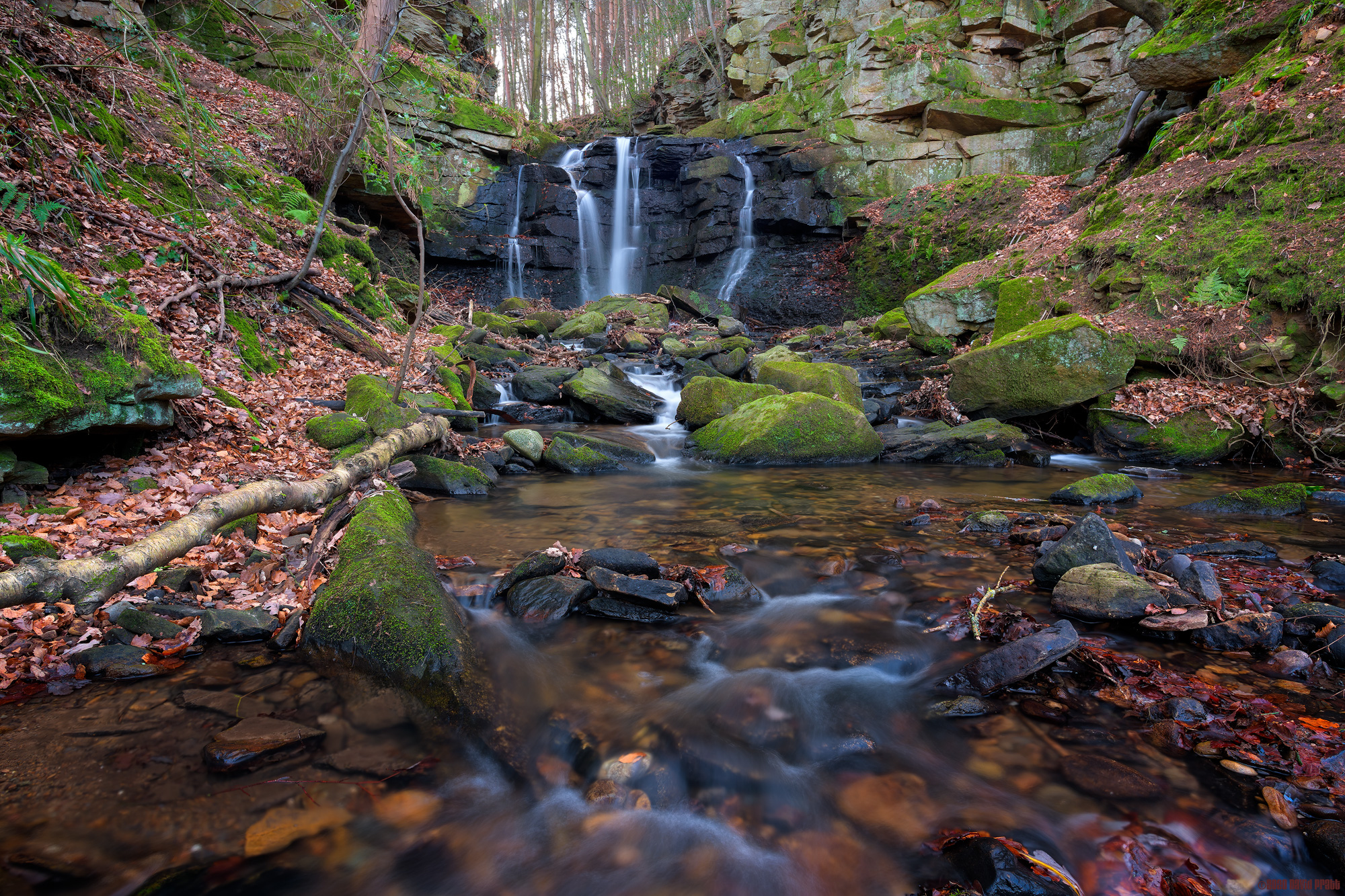 Flowing Through Ravenscrag Wood
