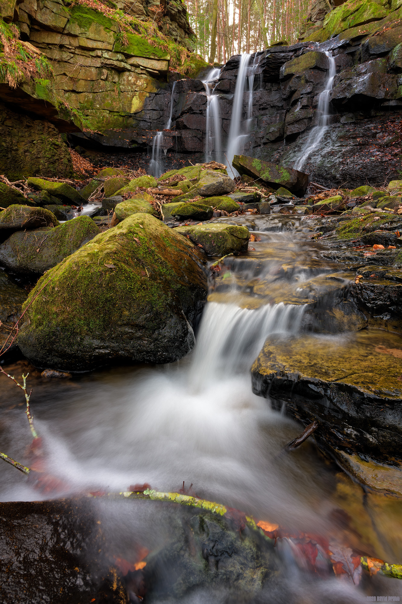 Caught In The Current