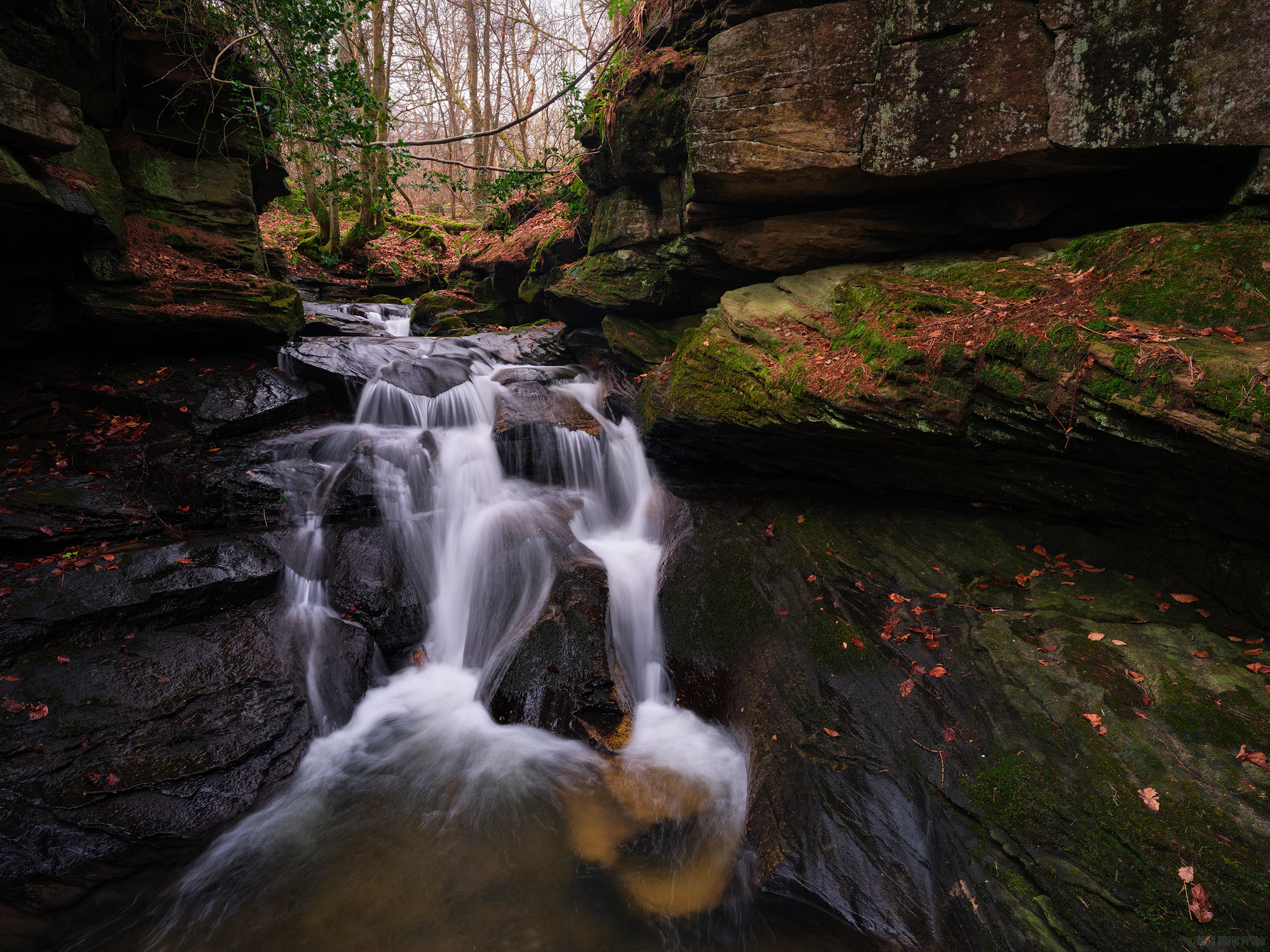 Veiled In Shadowed Stone