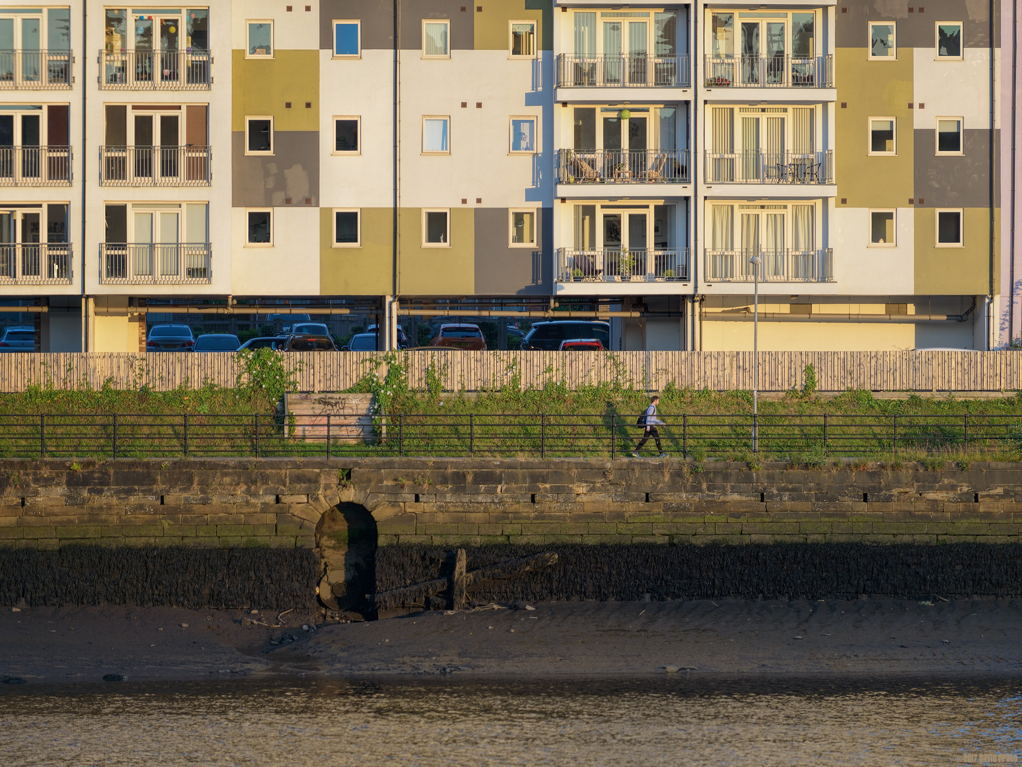 Down By The Waterline