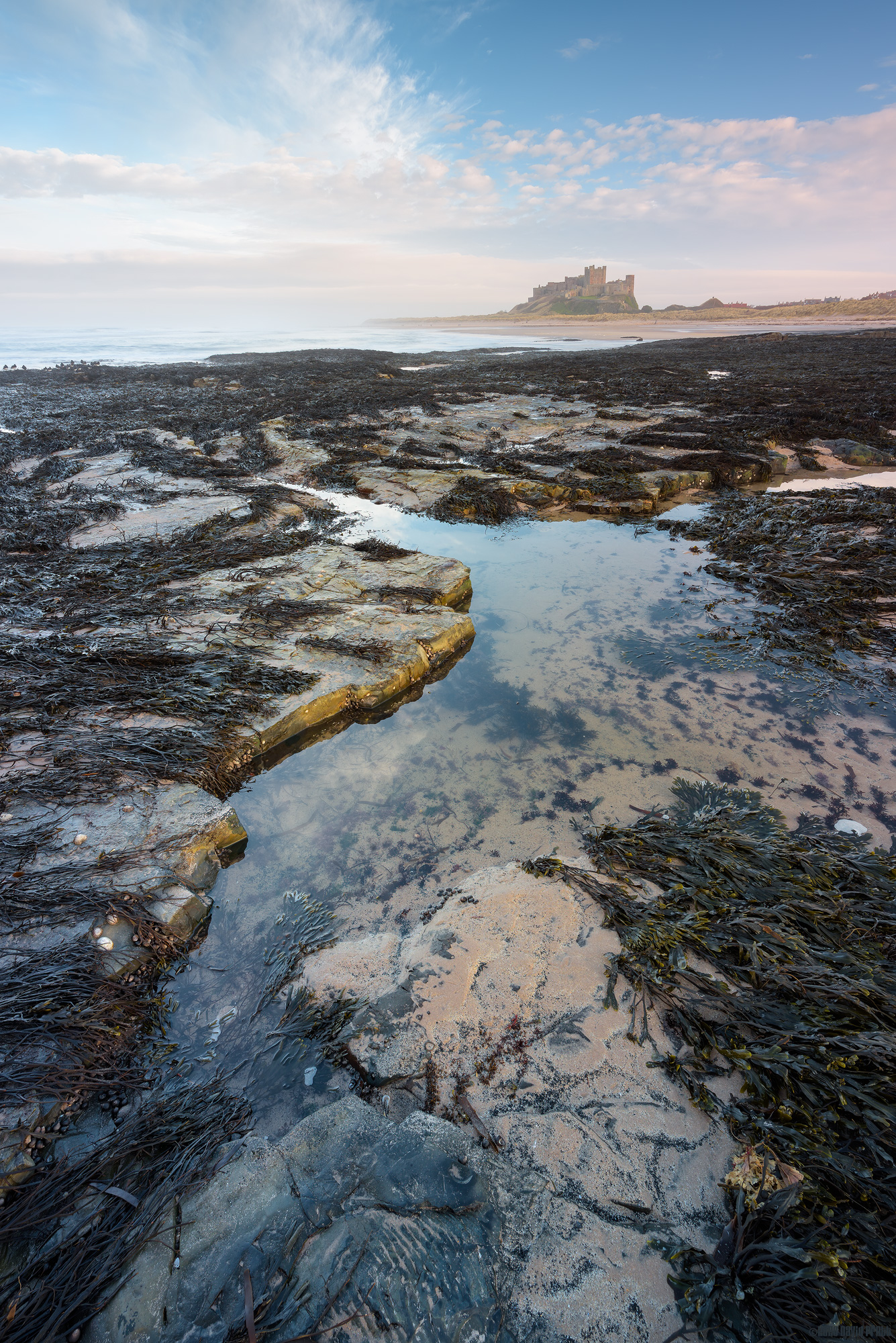 Beachcombing [Explored 20/03/2020 #429]