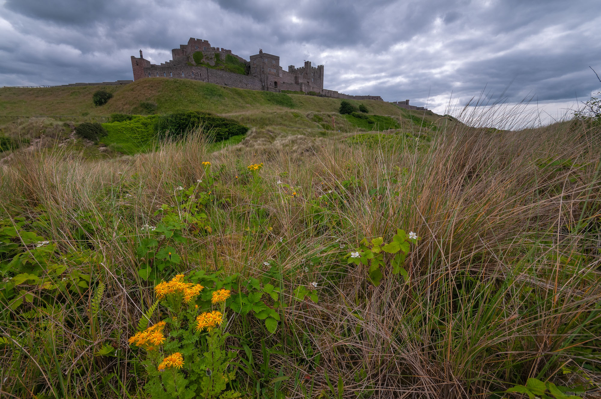 Bamburgh Castle
