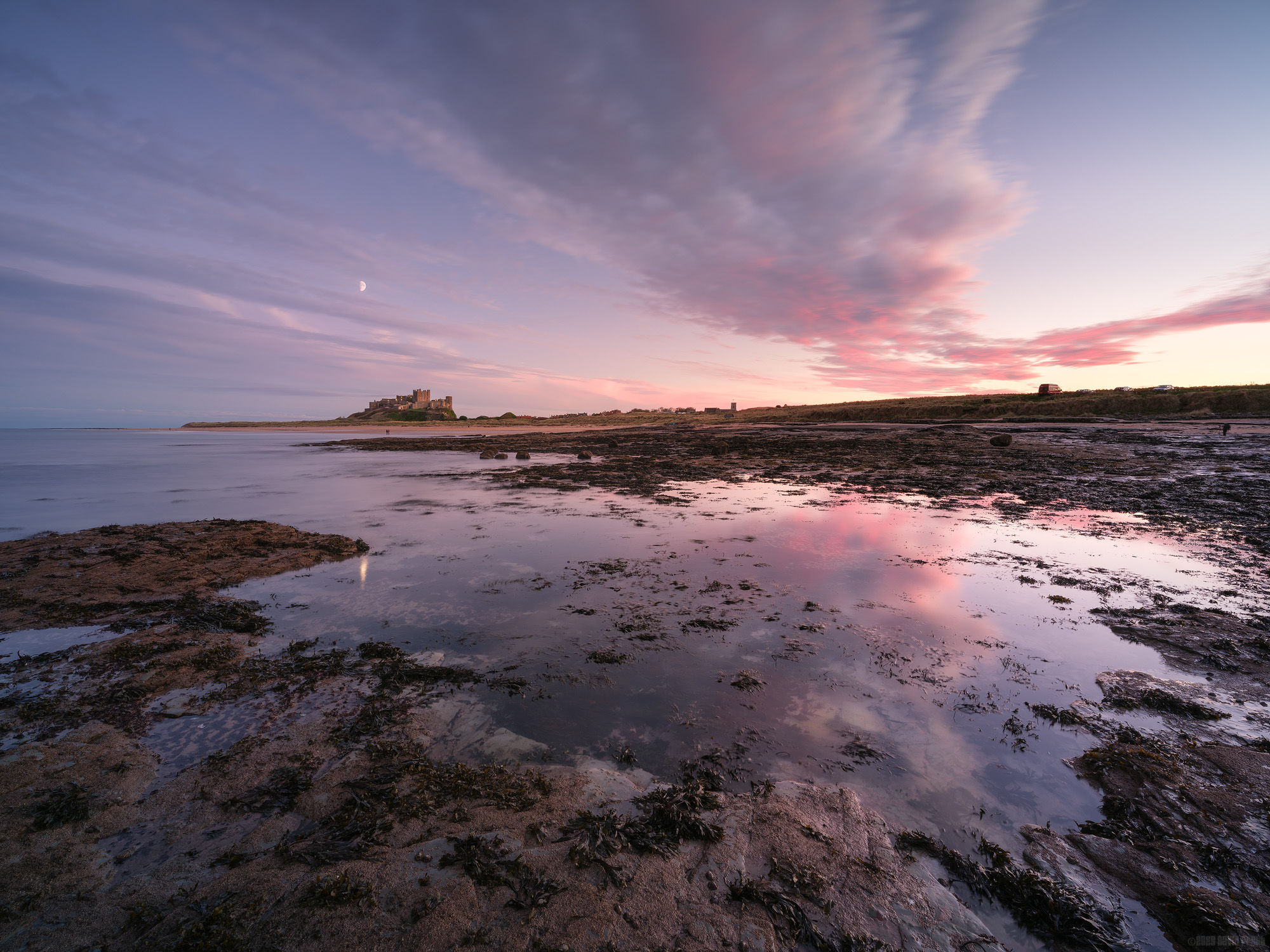 Reaching For The Moon