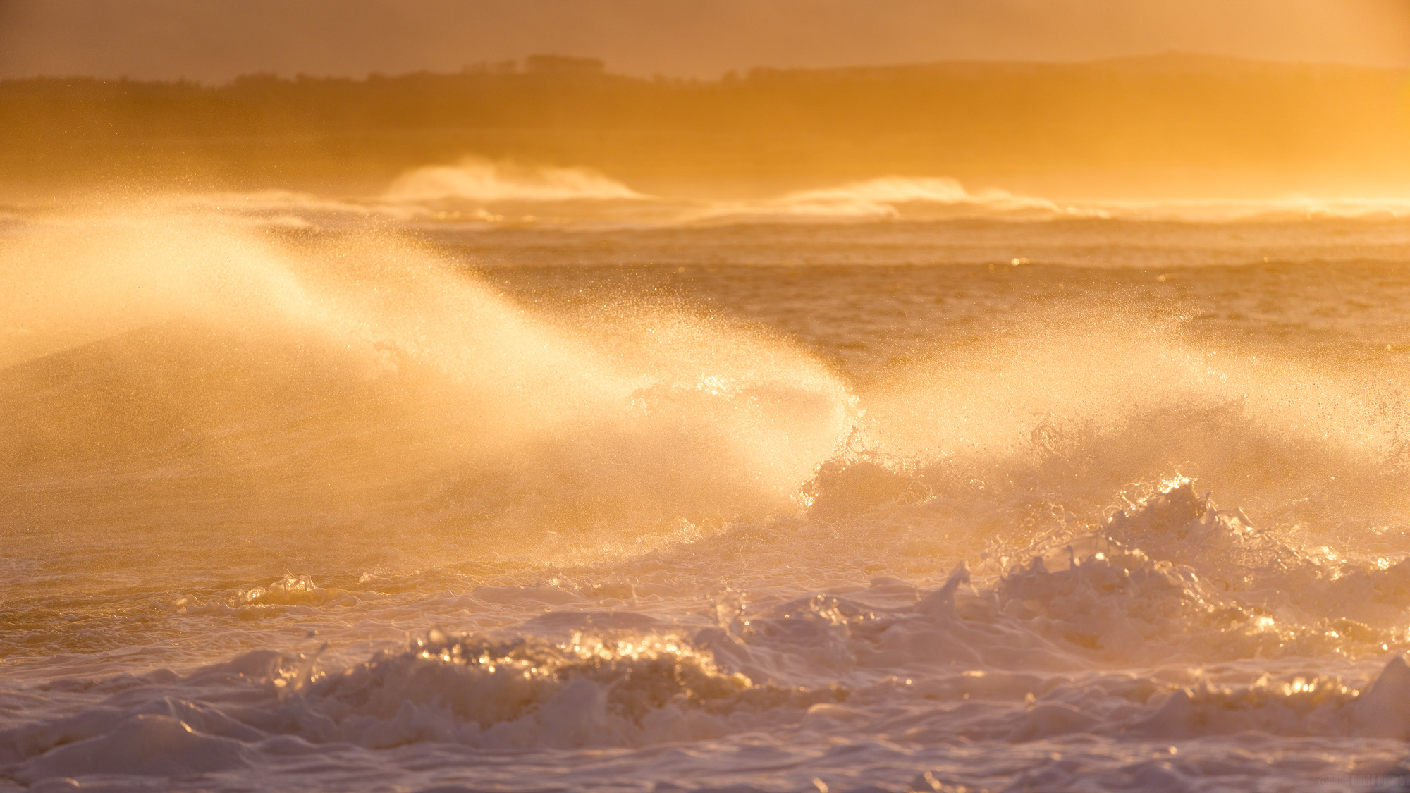 Shimmering Like Gold