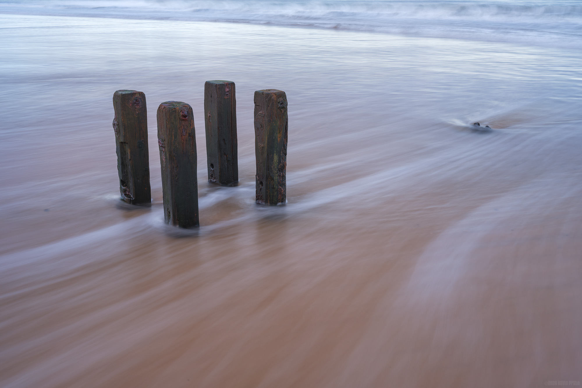 Separated From The Herd