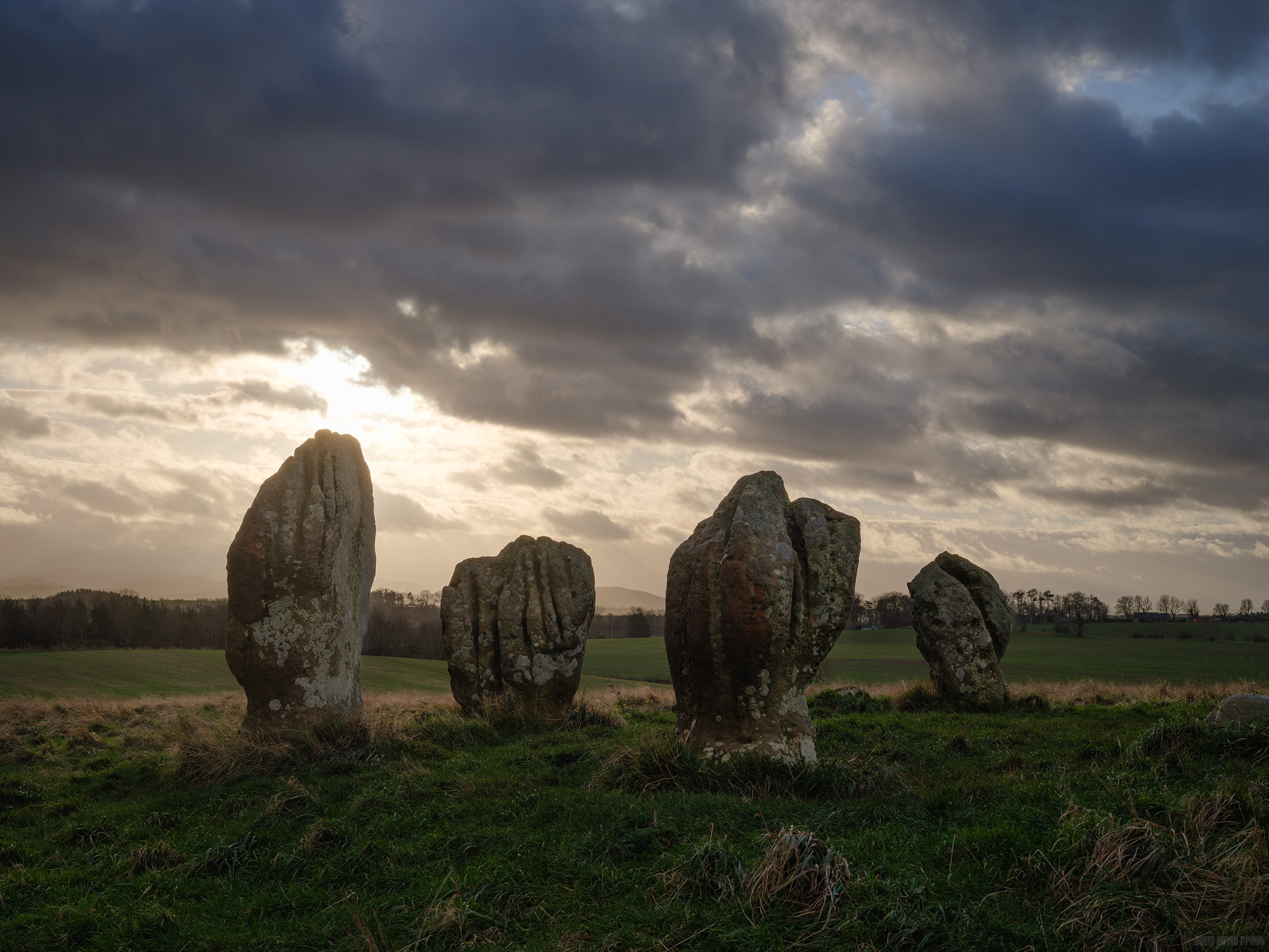 Weathering The Storm