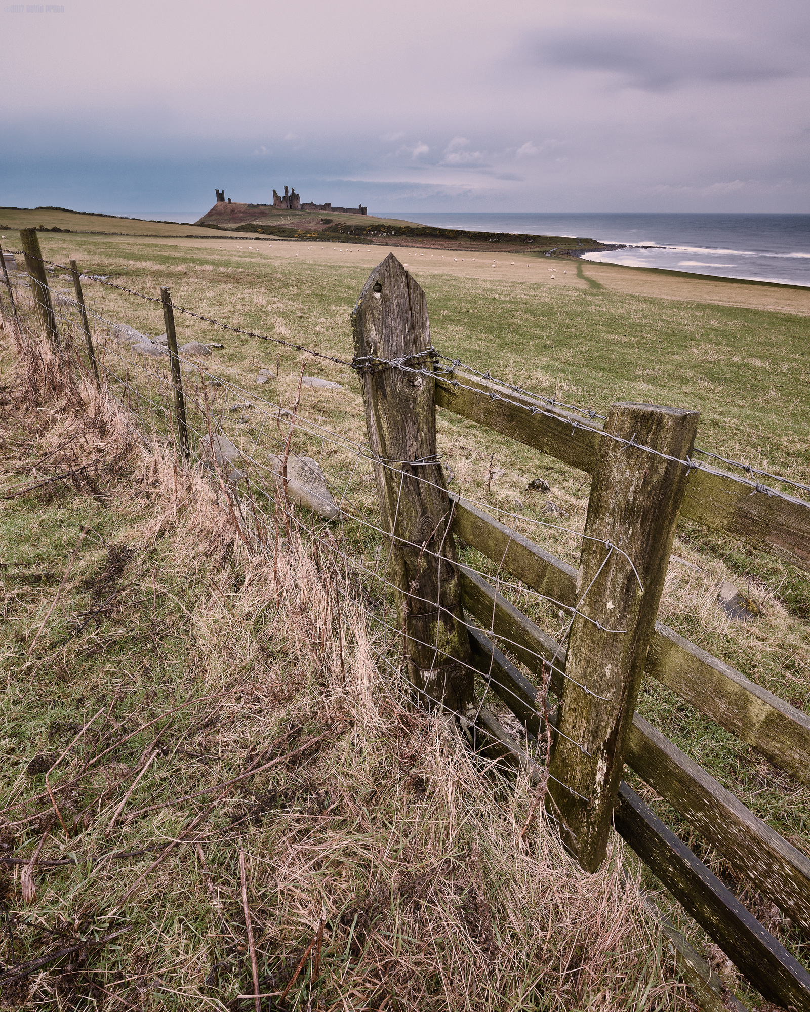 A View From The Heughs