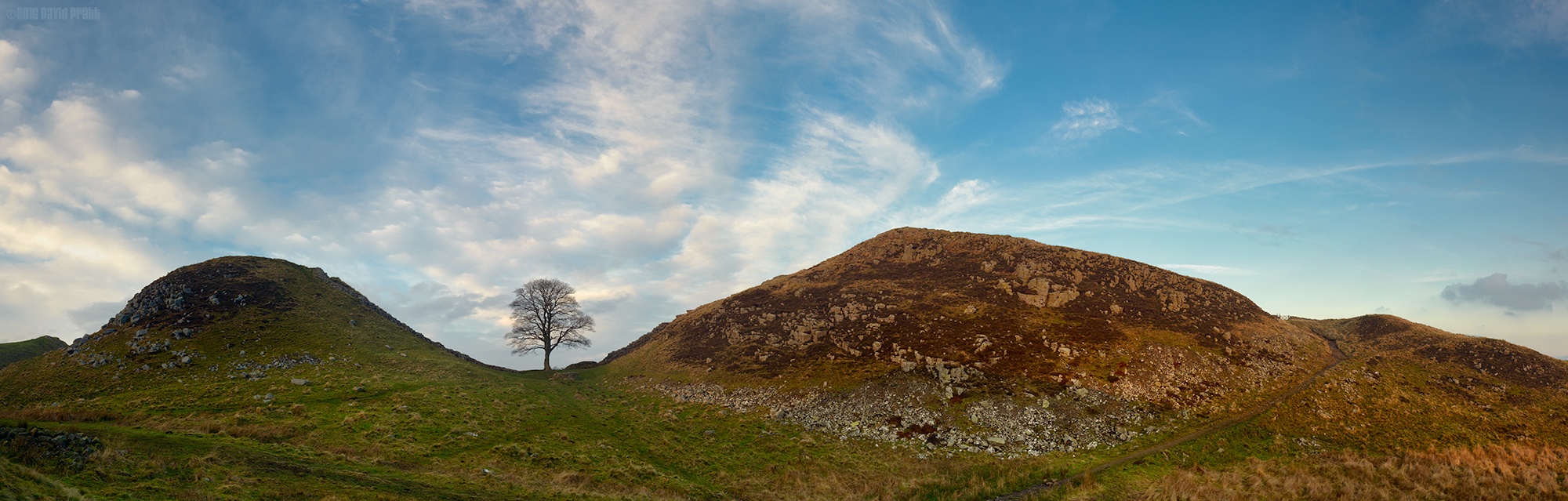Sycamore Gap