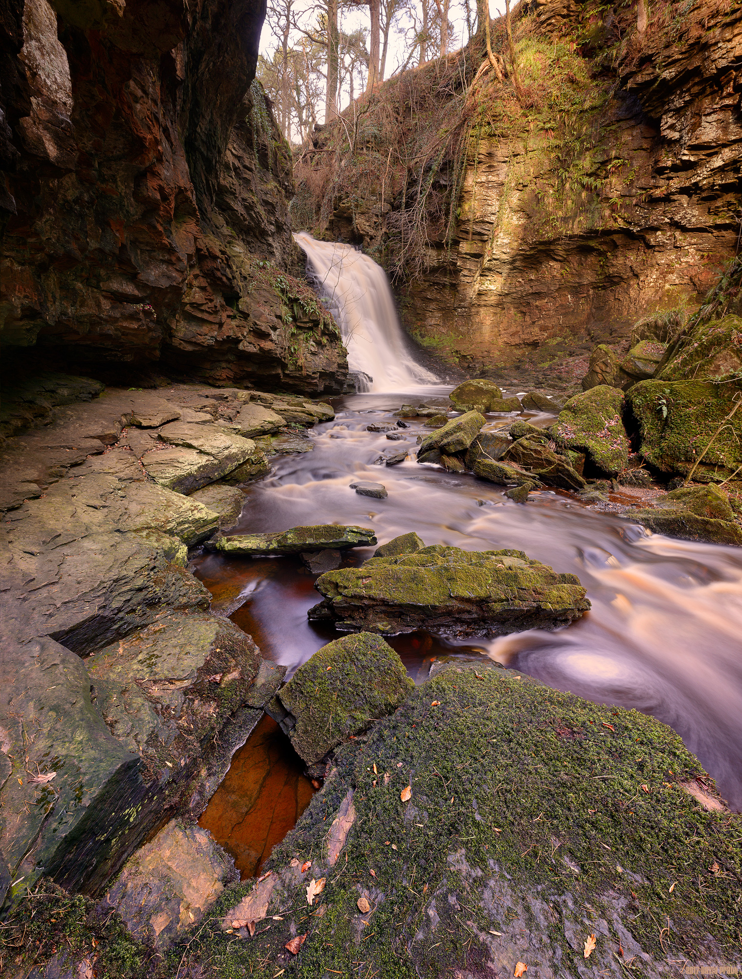 Hareshaw Linn
