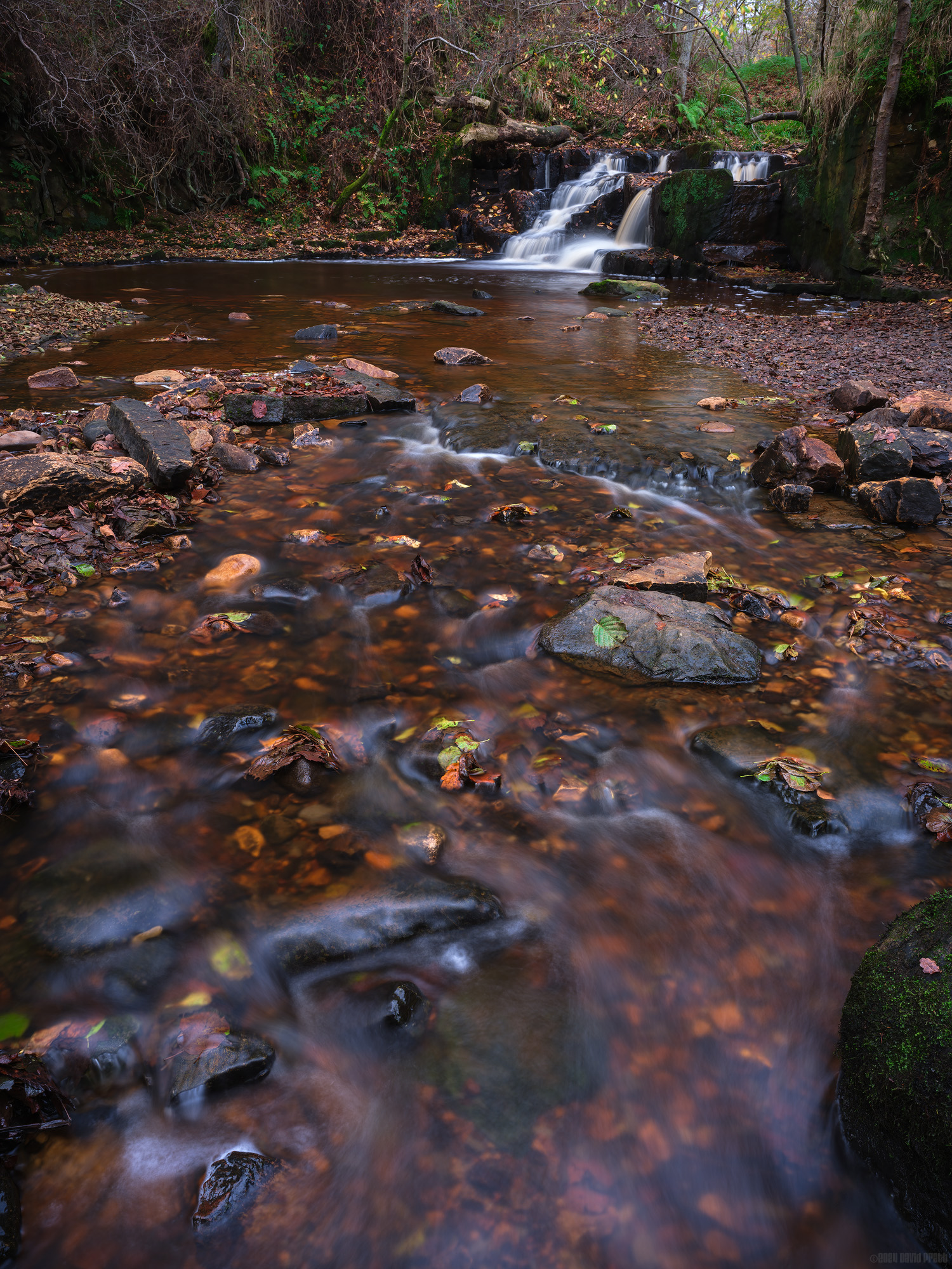 Approaching The Lower Falls