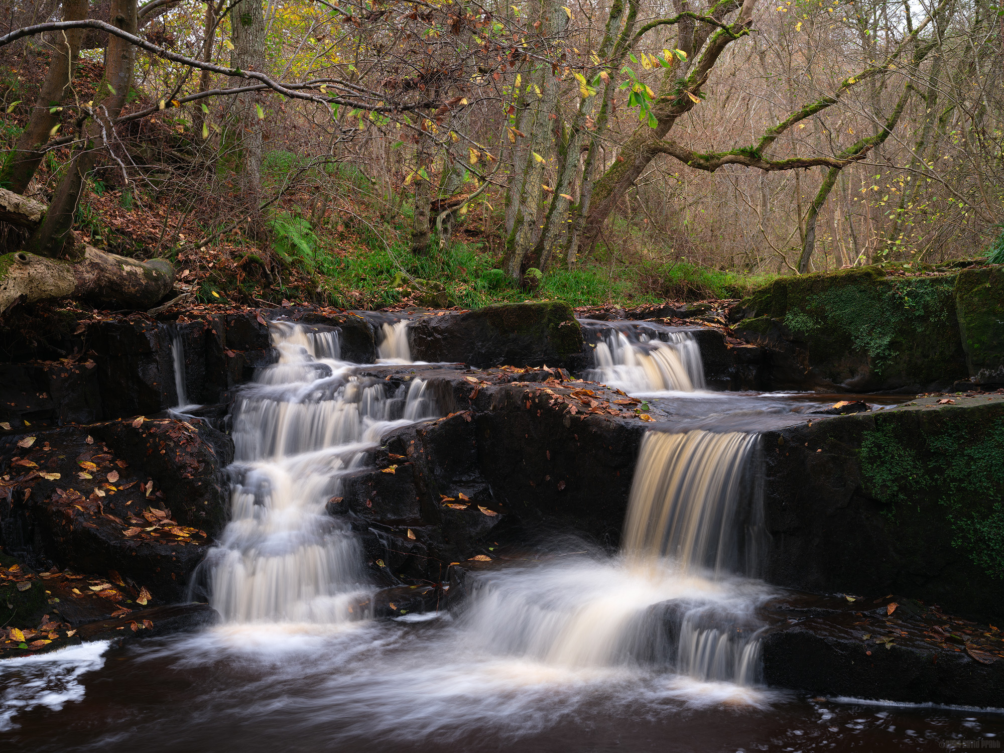 Take The Left Or Right