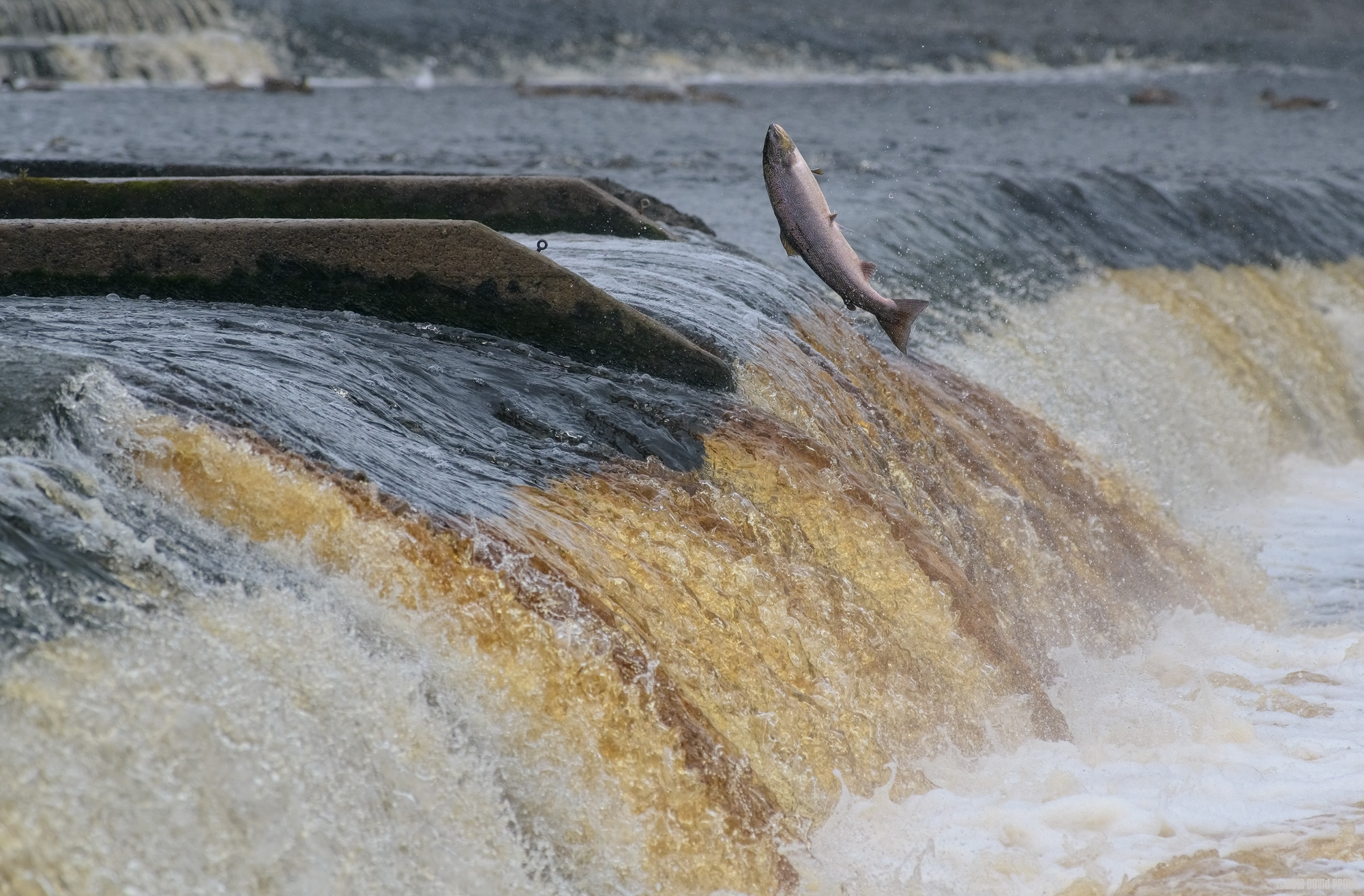 So Close and Yet So Very Far