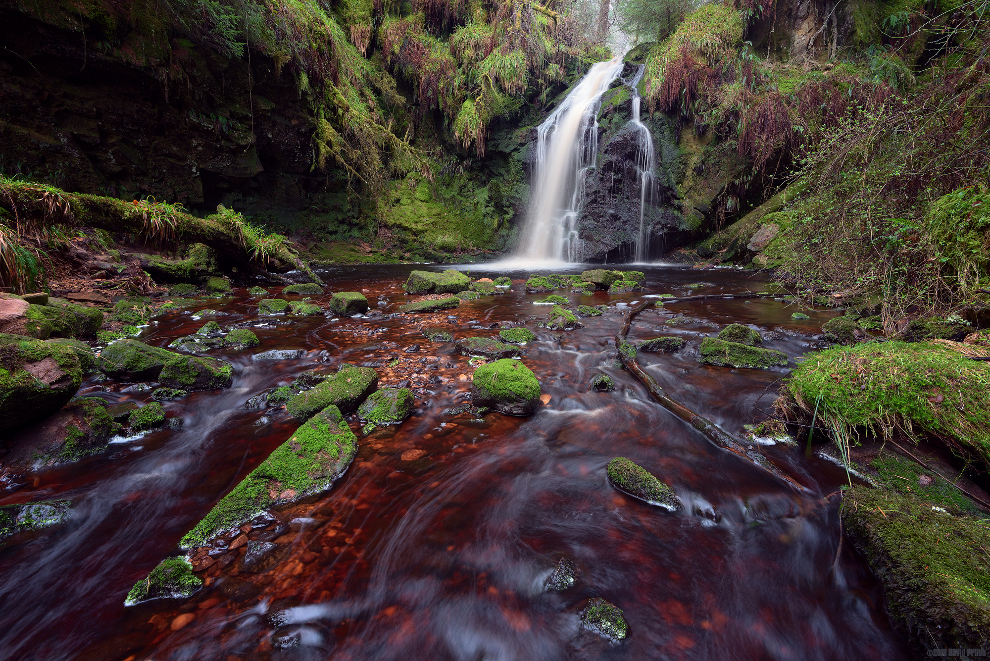 The Enchanted Grotto