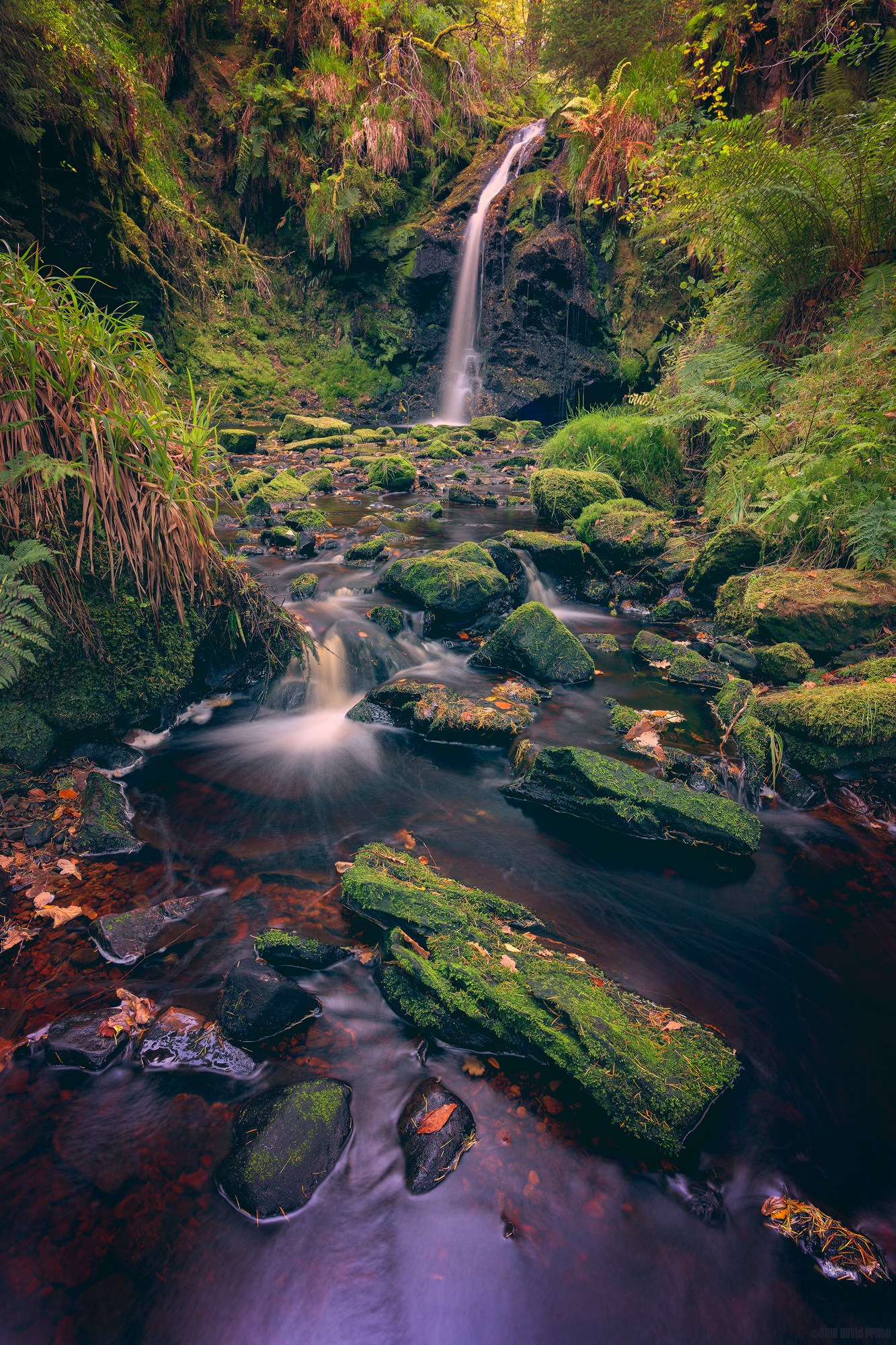 Autumn Is On The Way