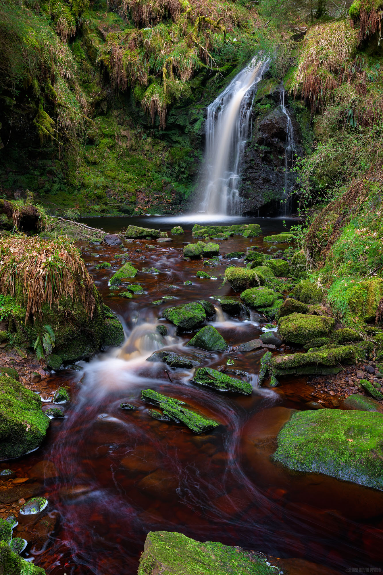 Can We Linger A Little Longer