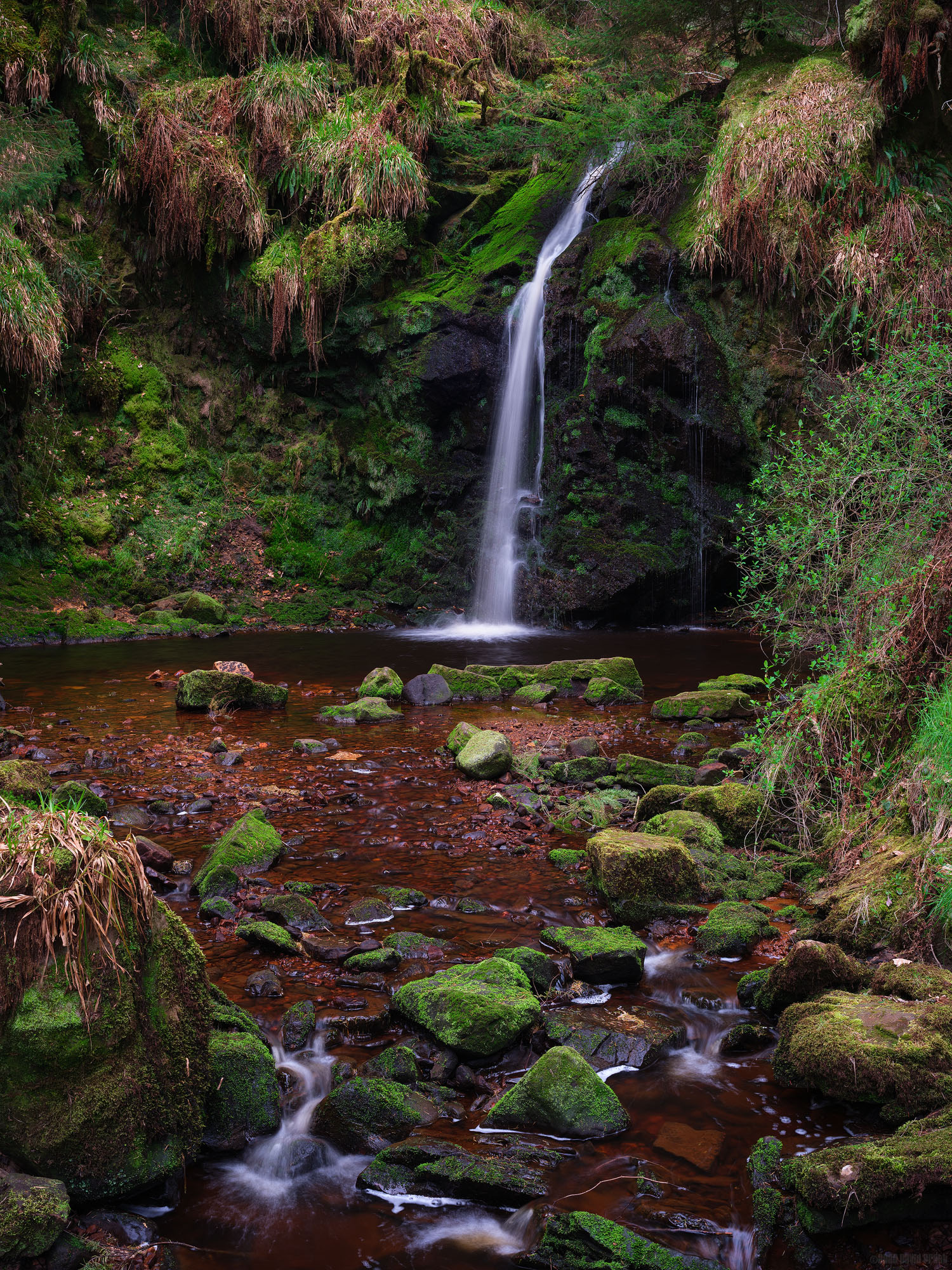 No Louder Than A Whisper