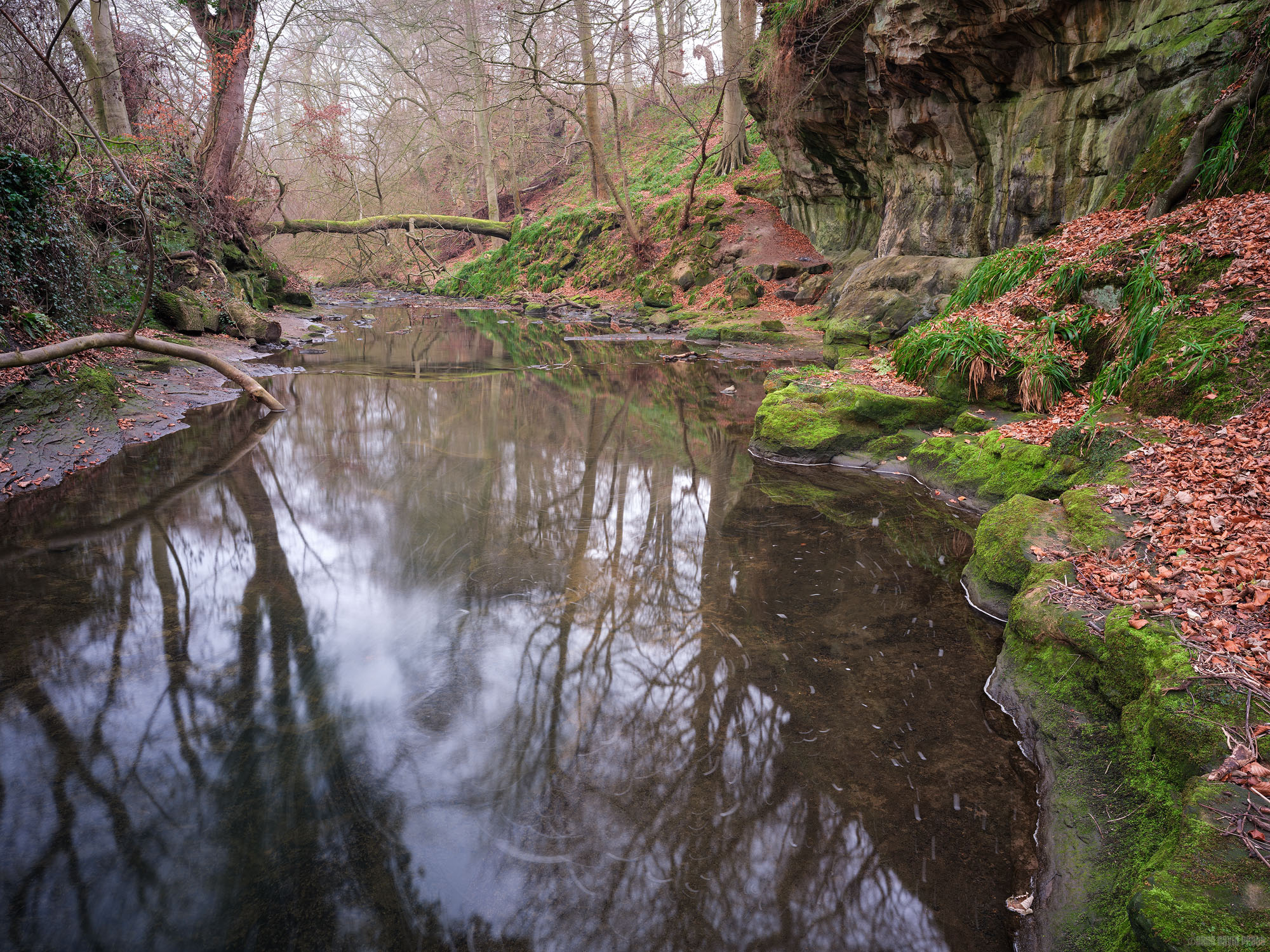 Downstream Of The Falls