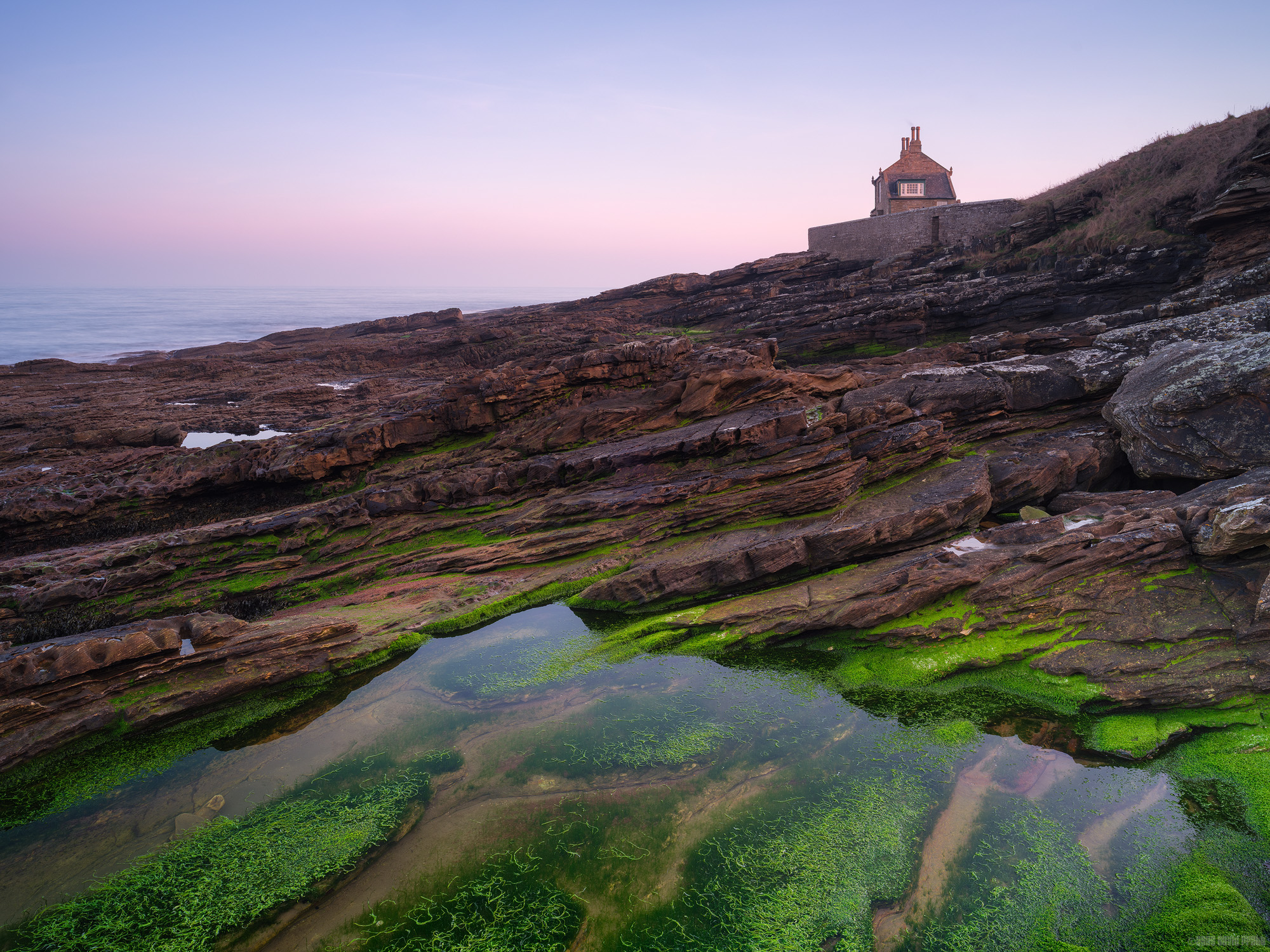 Standing On The Bones Of The Coast