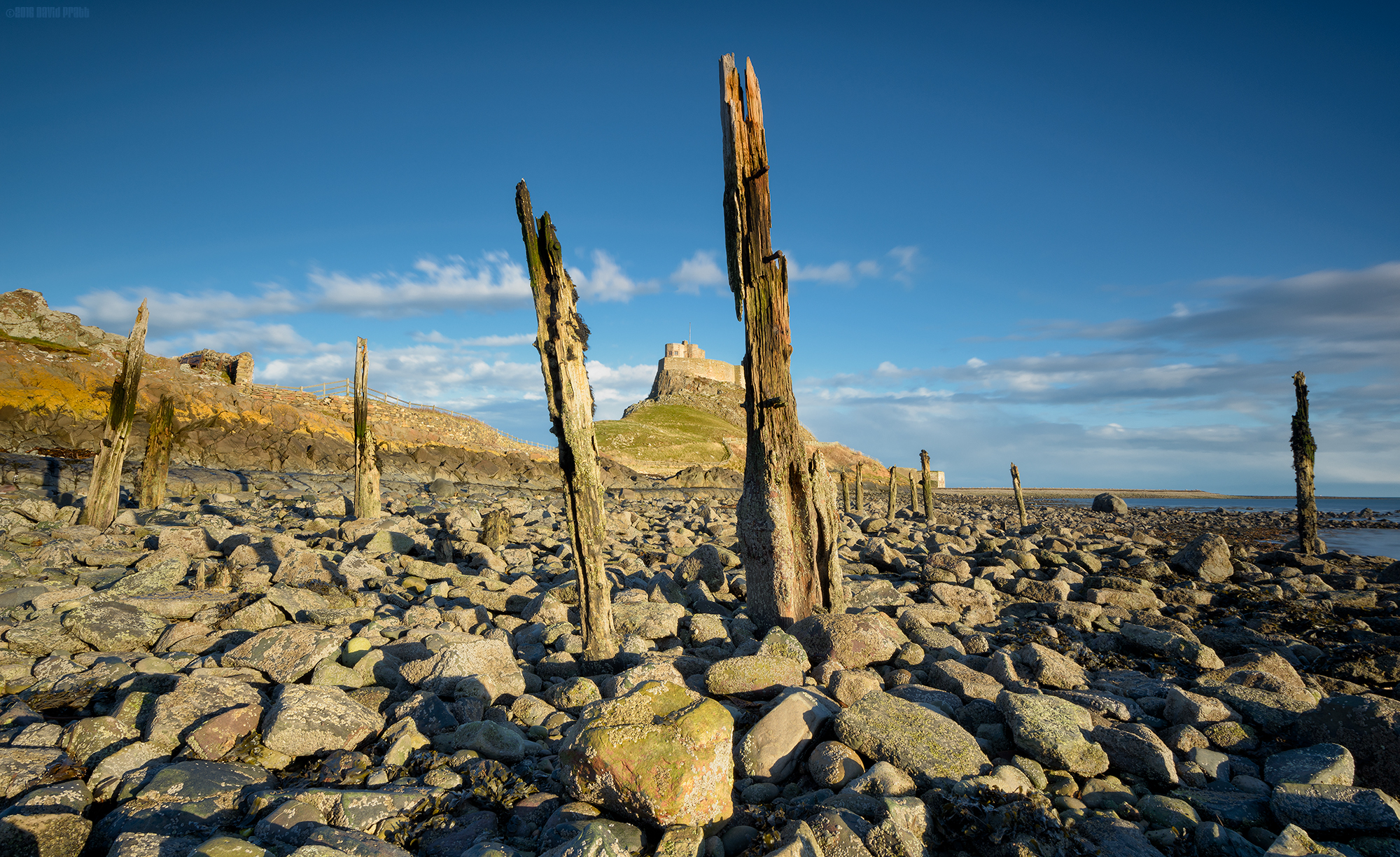 A Stake In The Ground