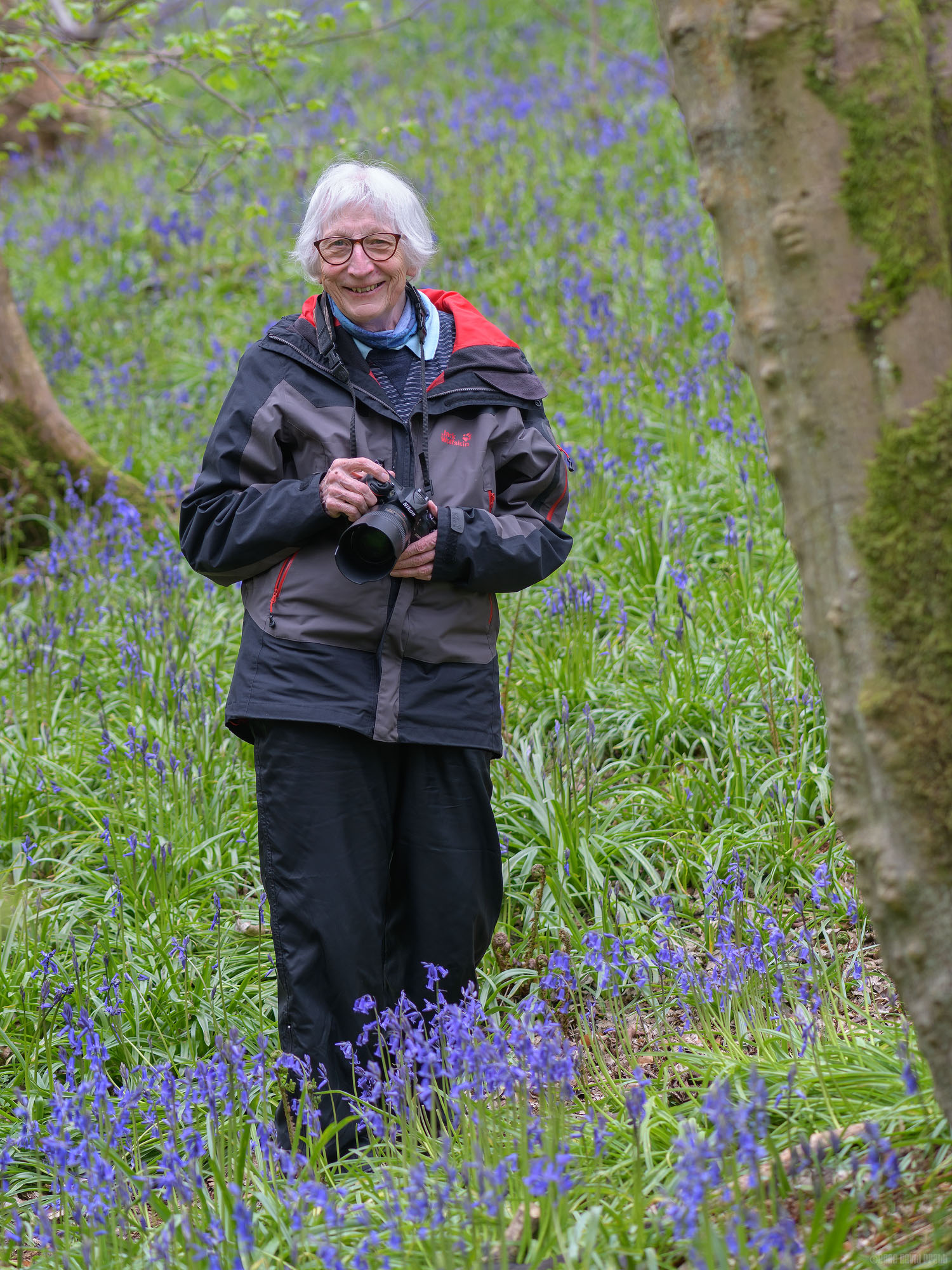 Enjoying The Bluebells