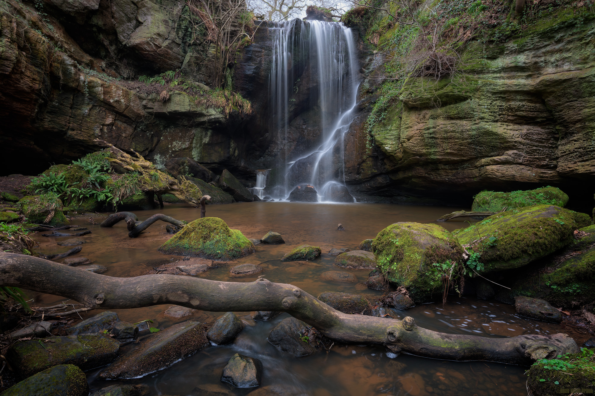 Where The Moss Slowly Grows