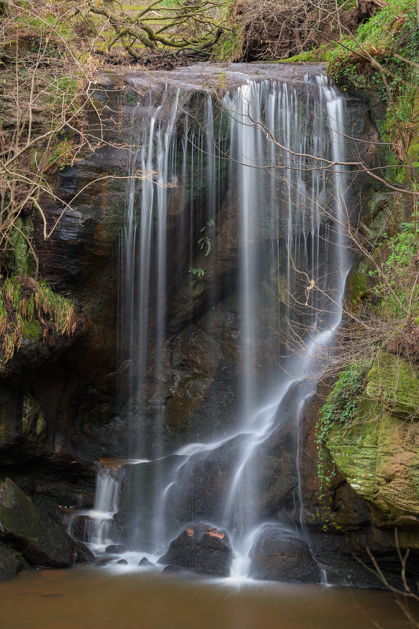 Watching The Water Fall