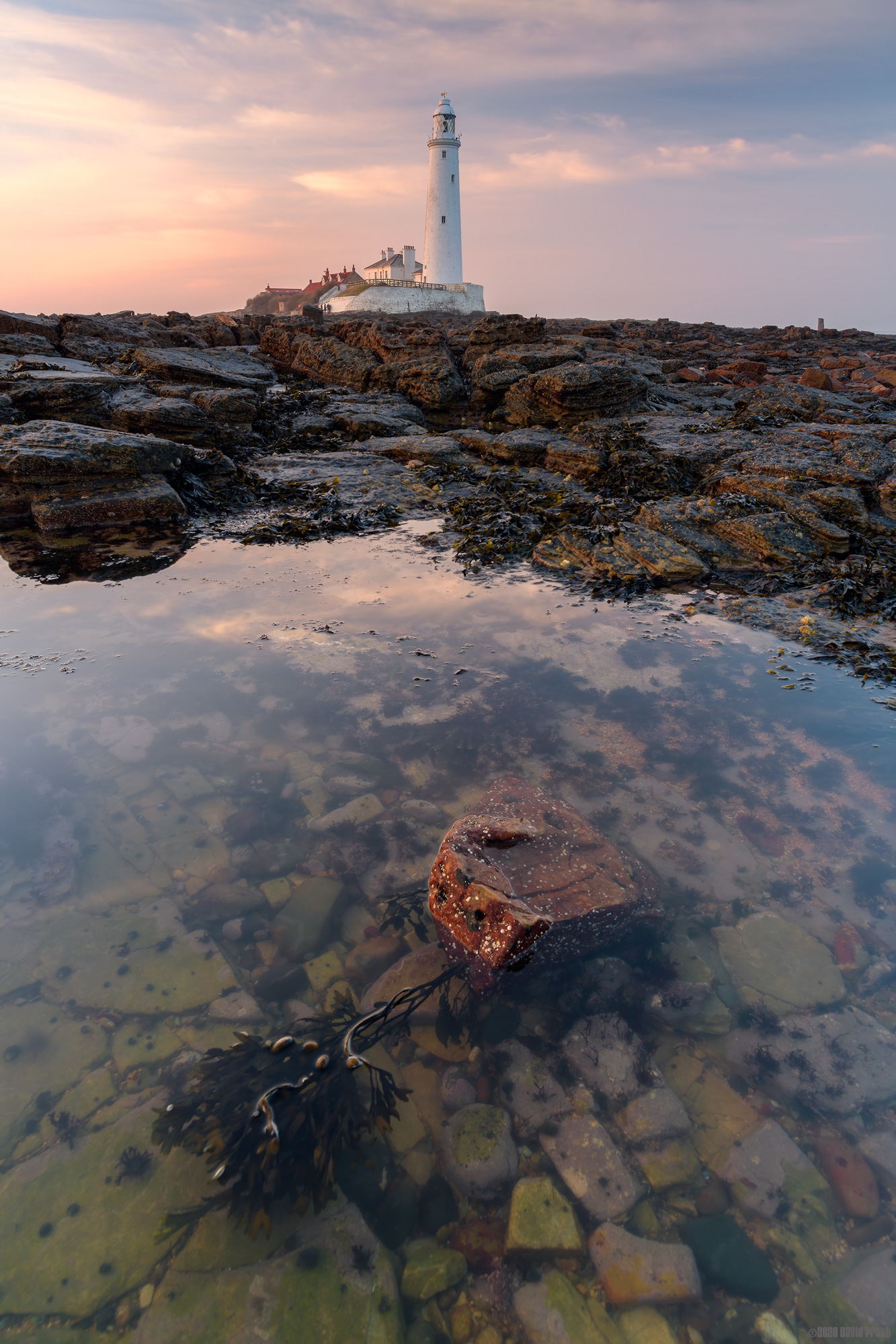 Going Quietly Into The Night