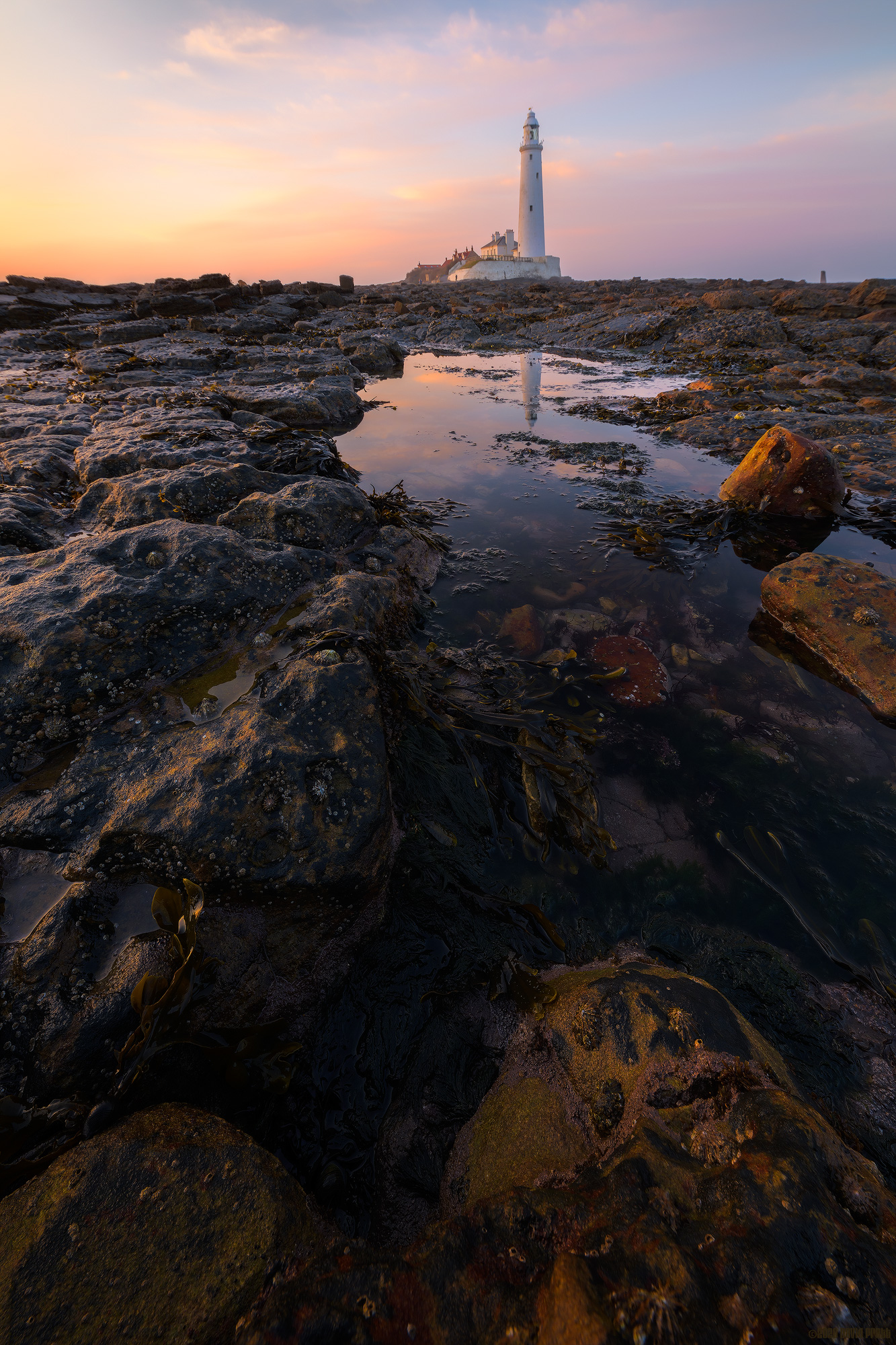 Drinking In The Sunset