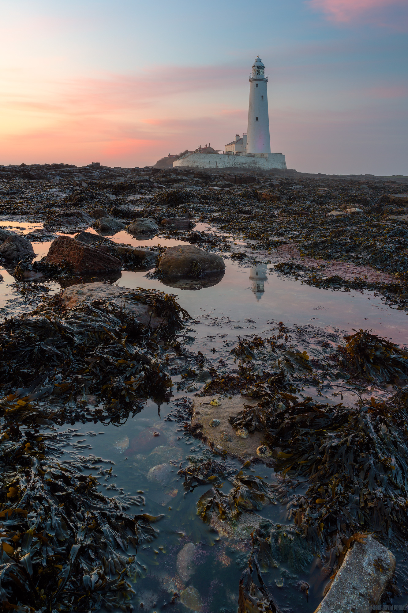 Sitting Under The Sunset Sky